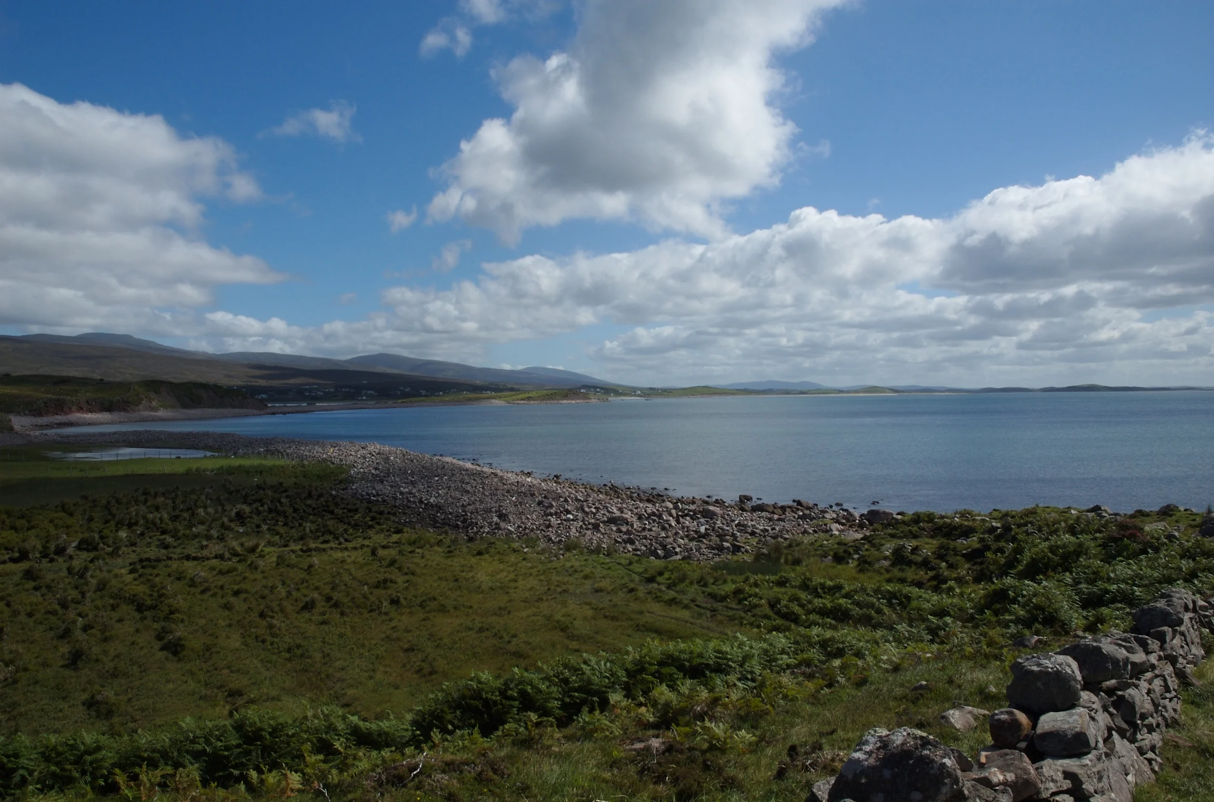 DSC_1333.jpg