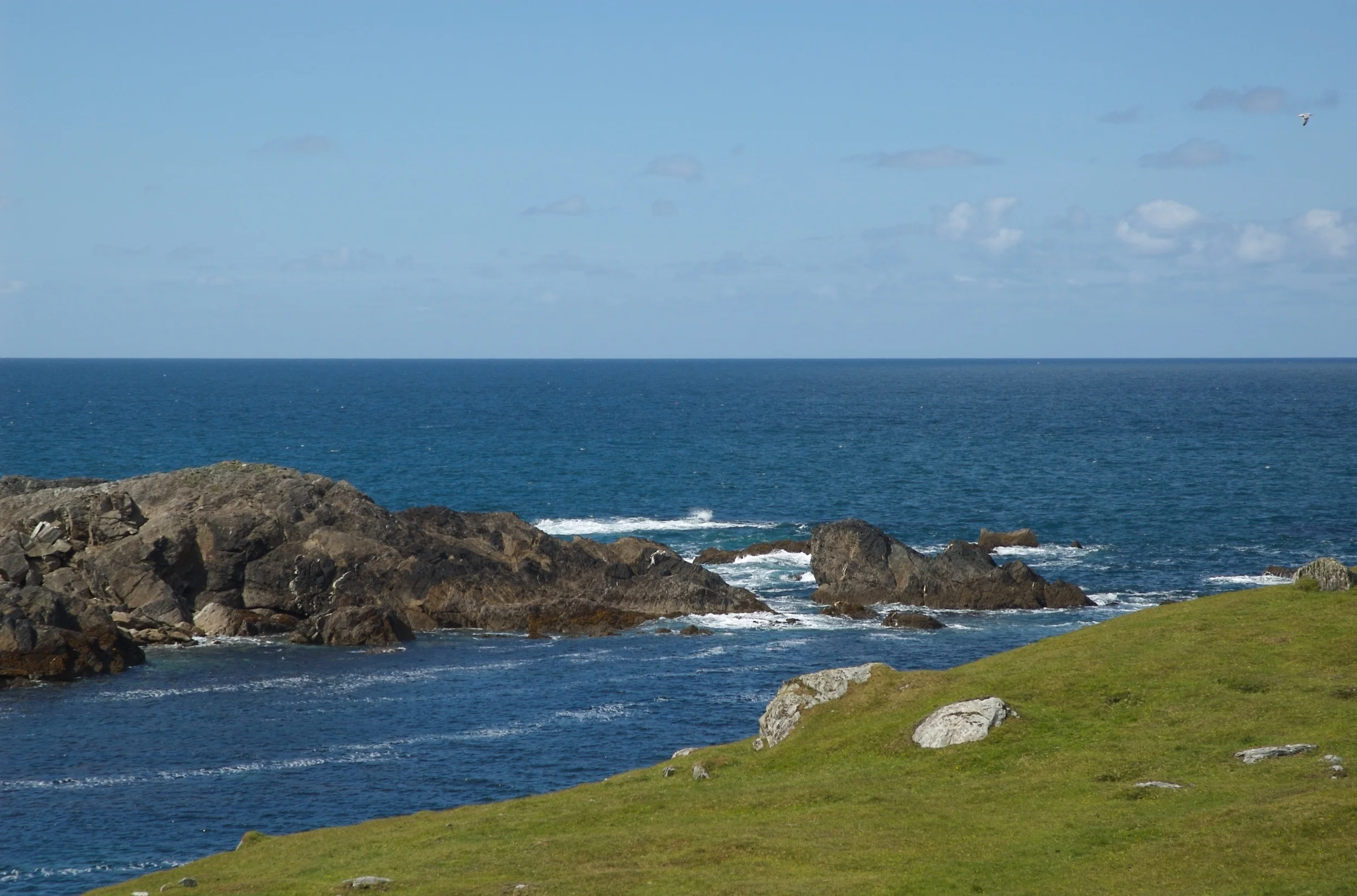 DSC_1339.jpg