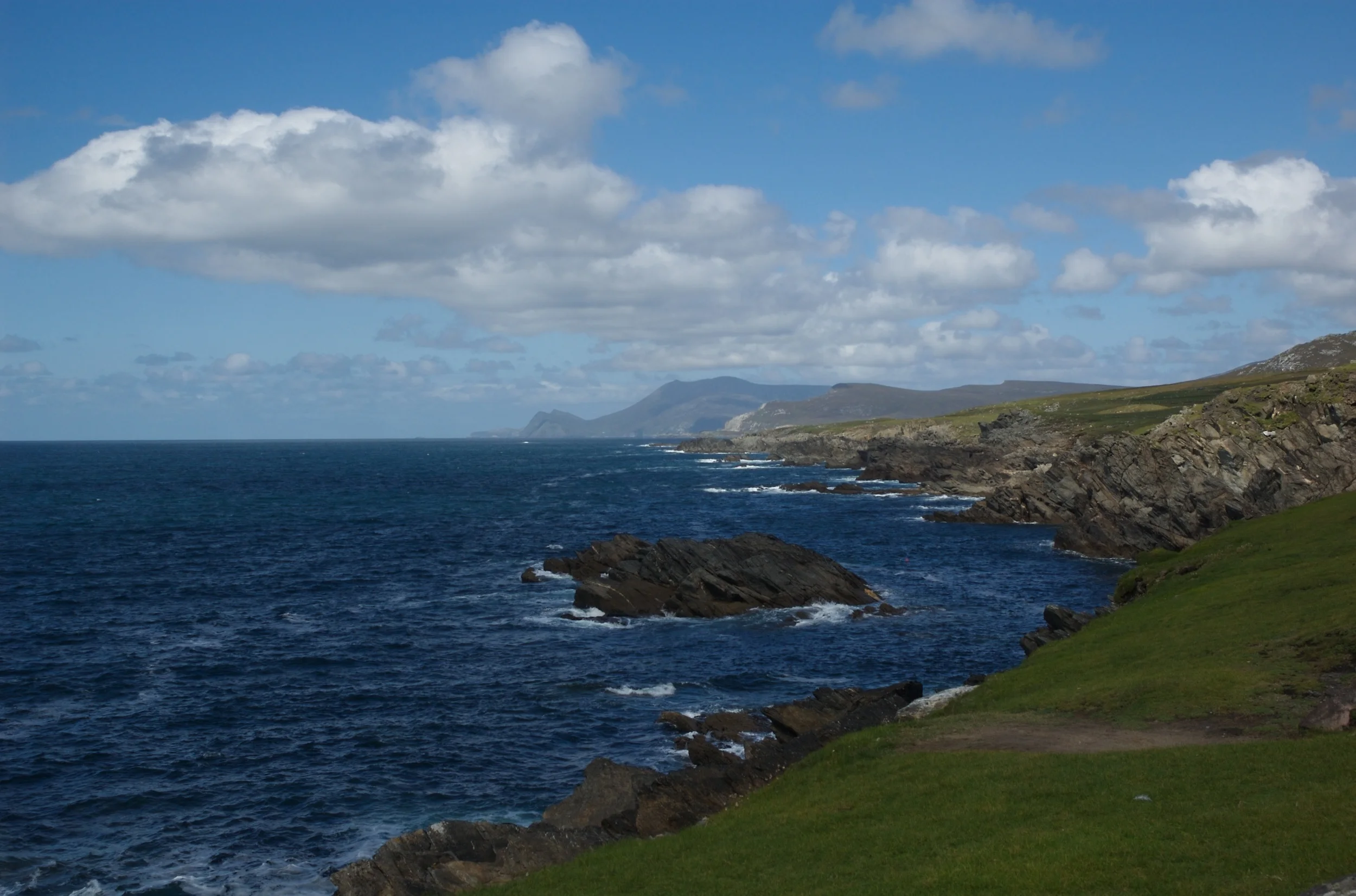 DSC_1343.jpg