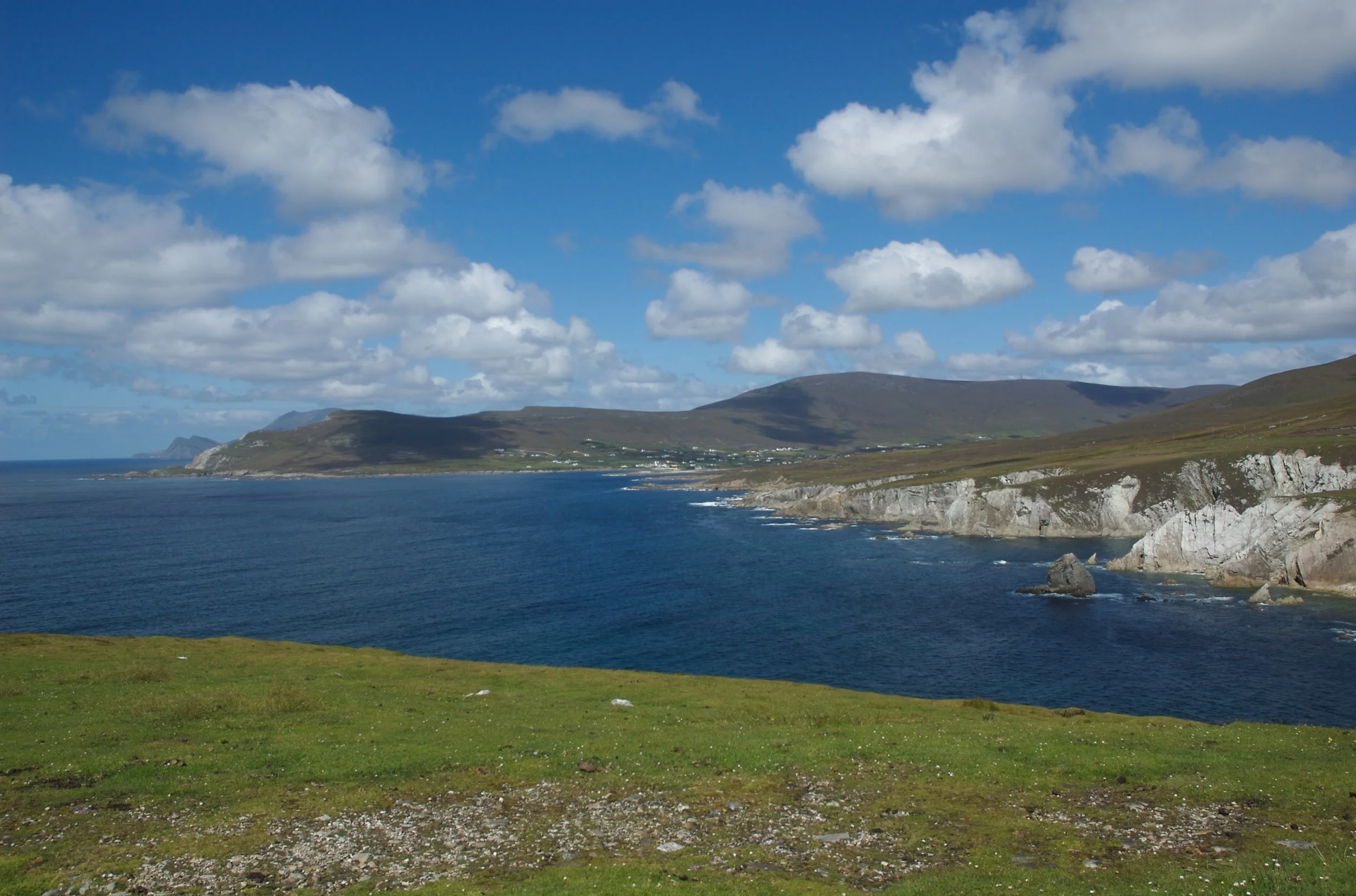 DSC_1347.jpg