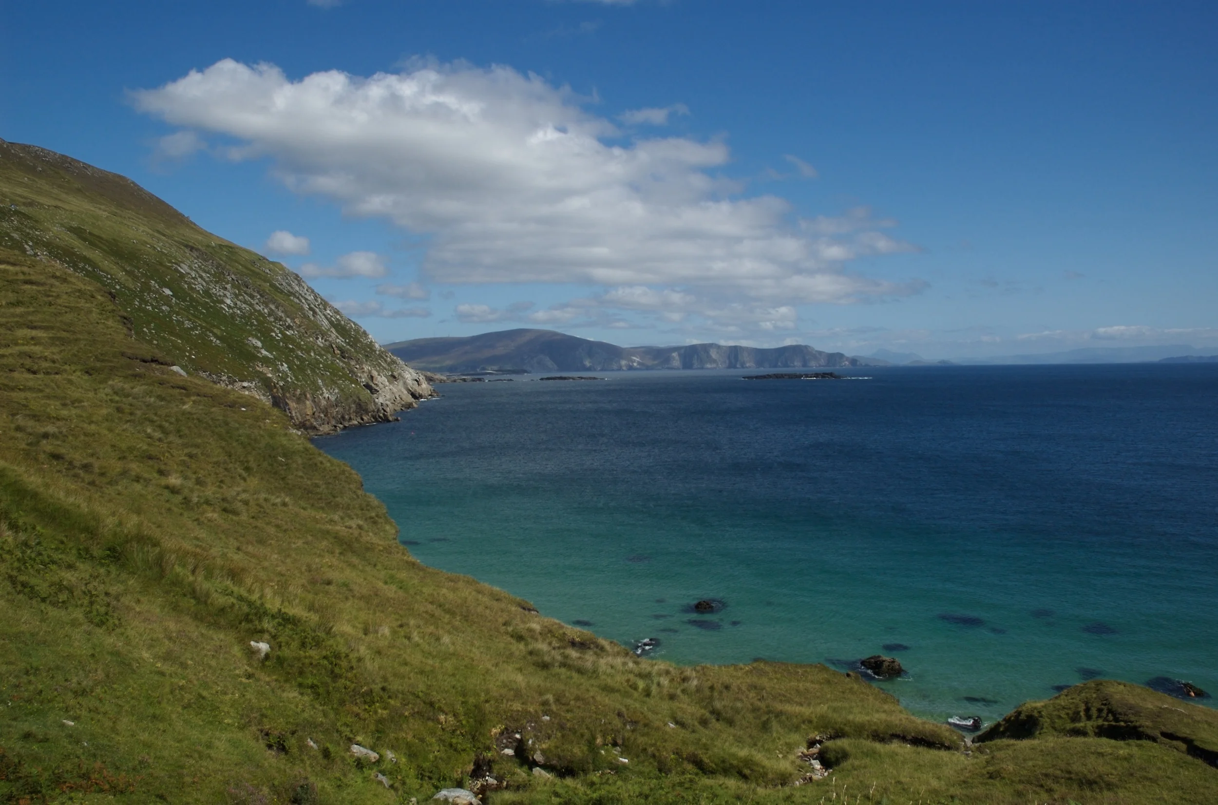 DSC_1358.jpg
