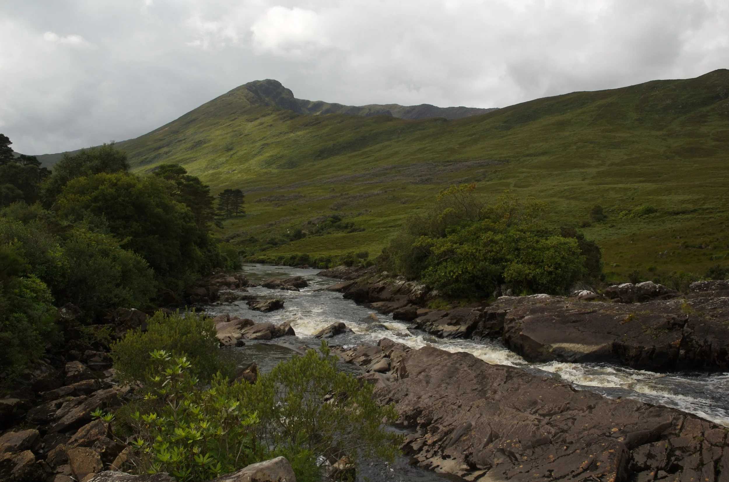 DSC_1383.jpg