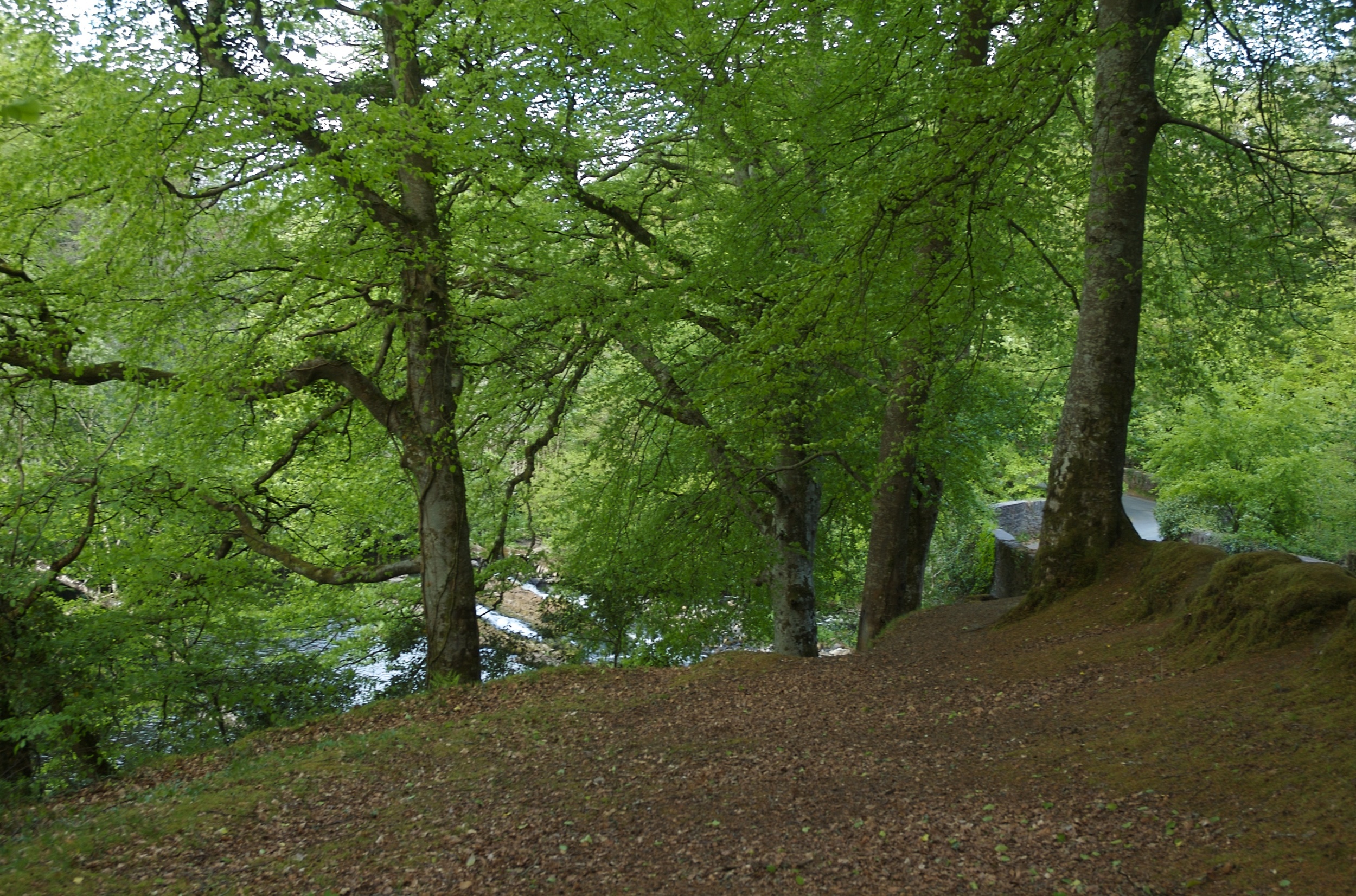 DSC_1222.jpg