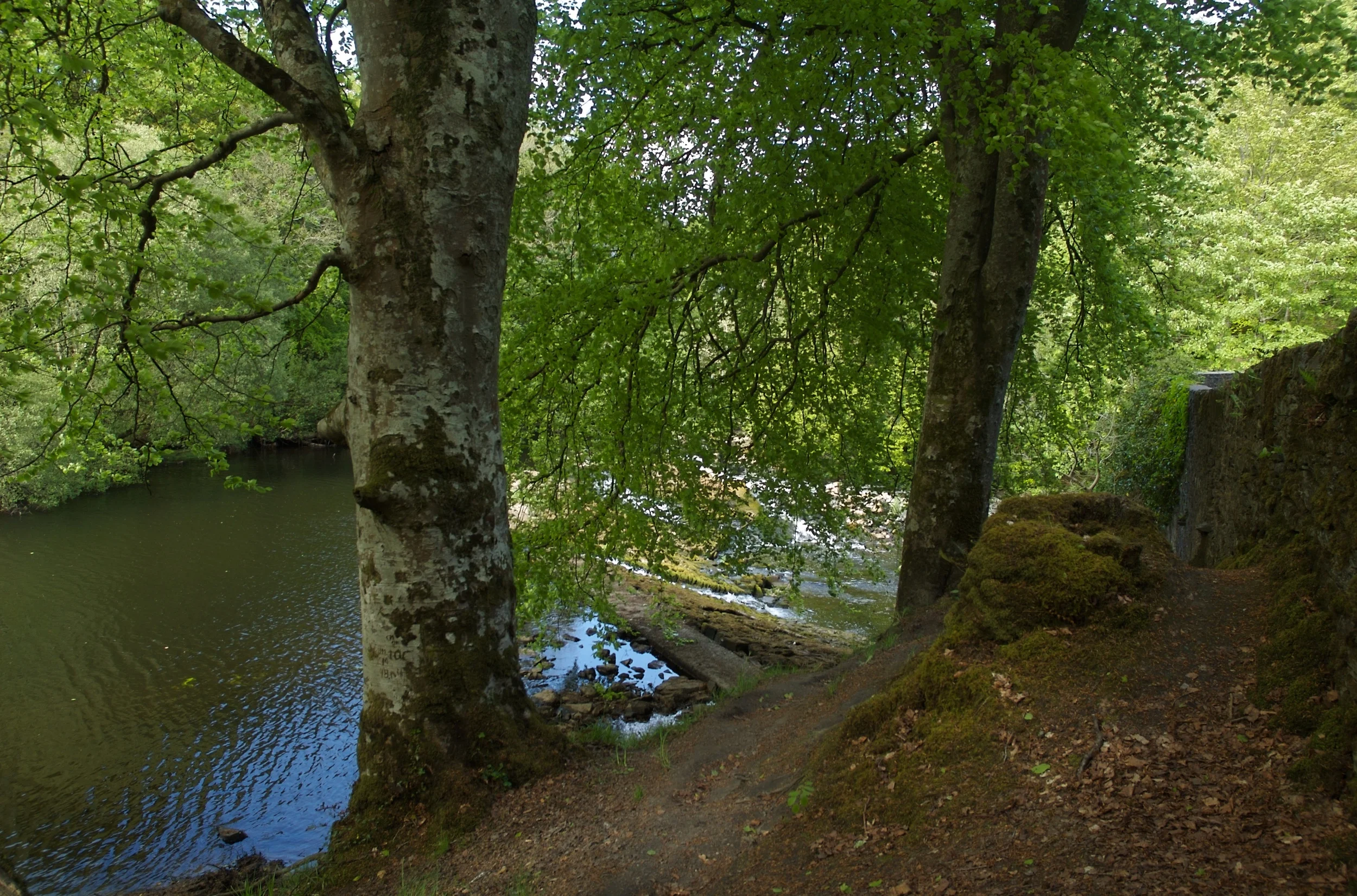 DSC_1226.jpg