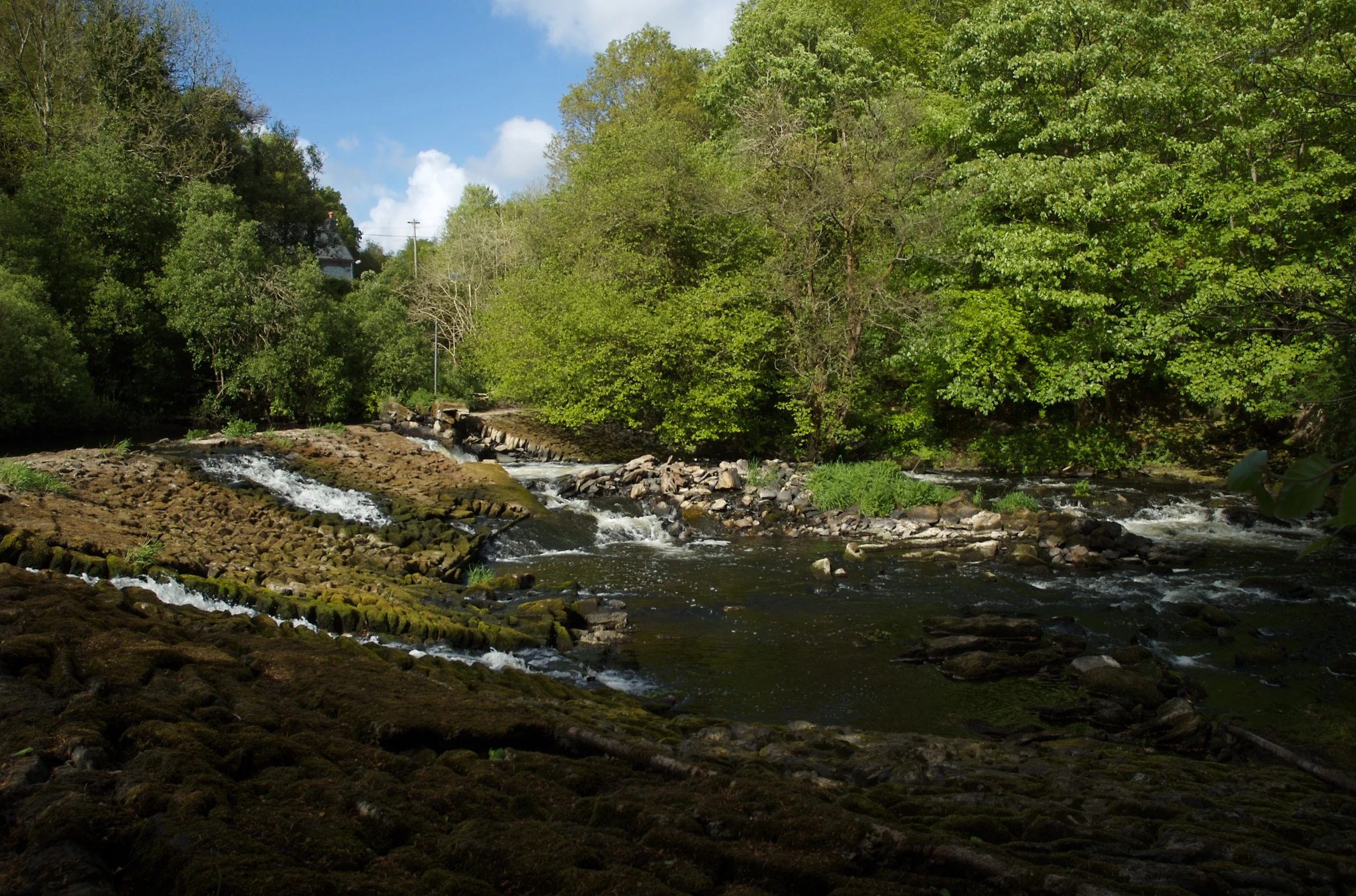 DSC_1227.jpg