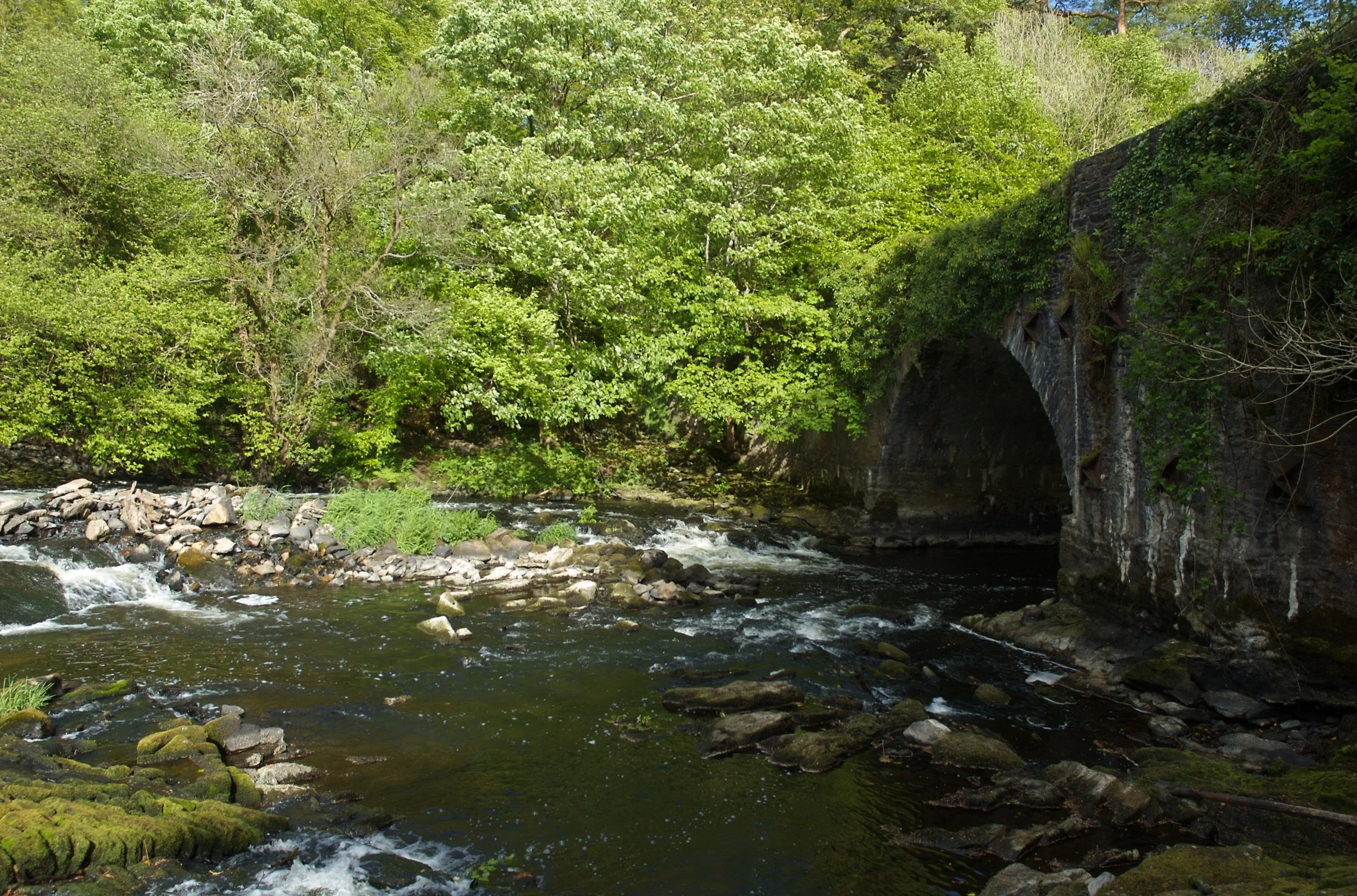 DSC_1228.jpg