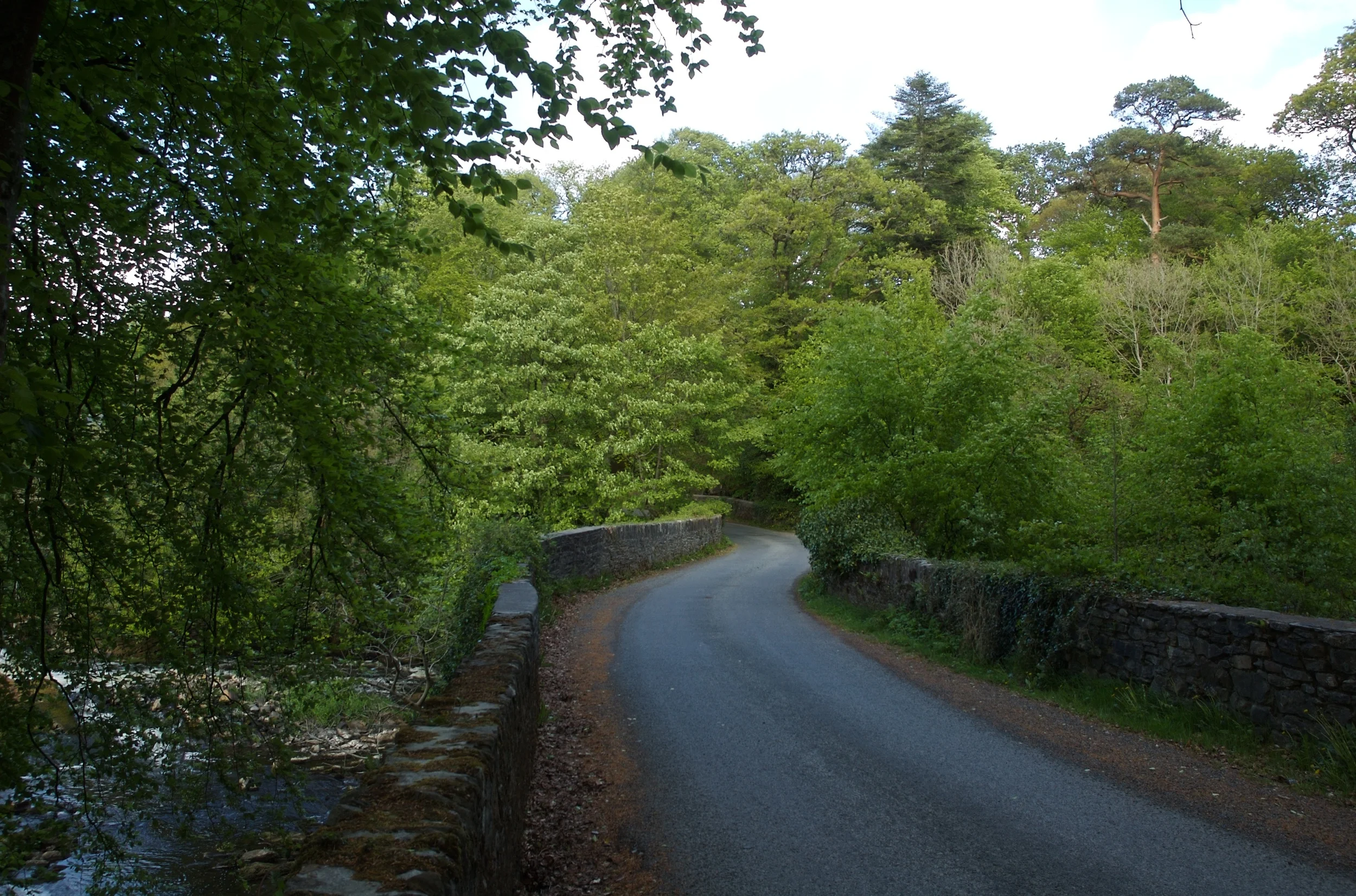 DSC_1236.jpg