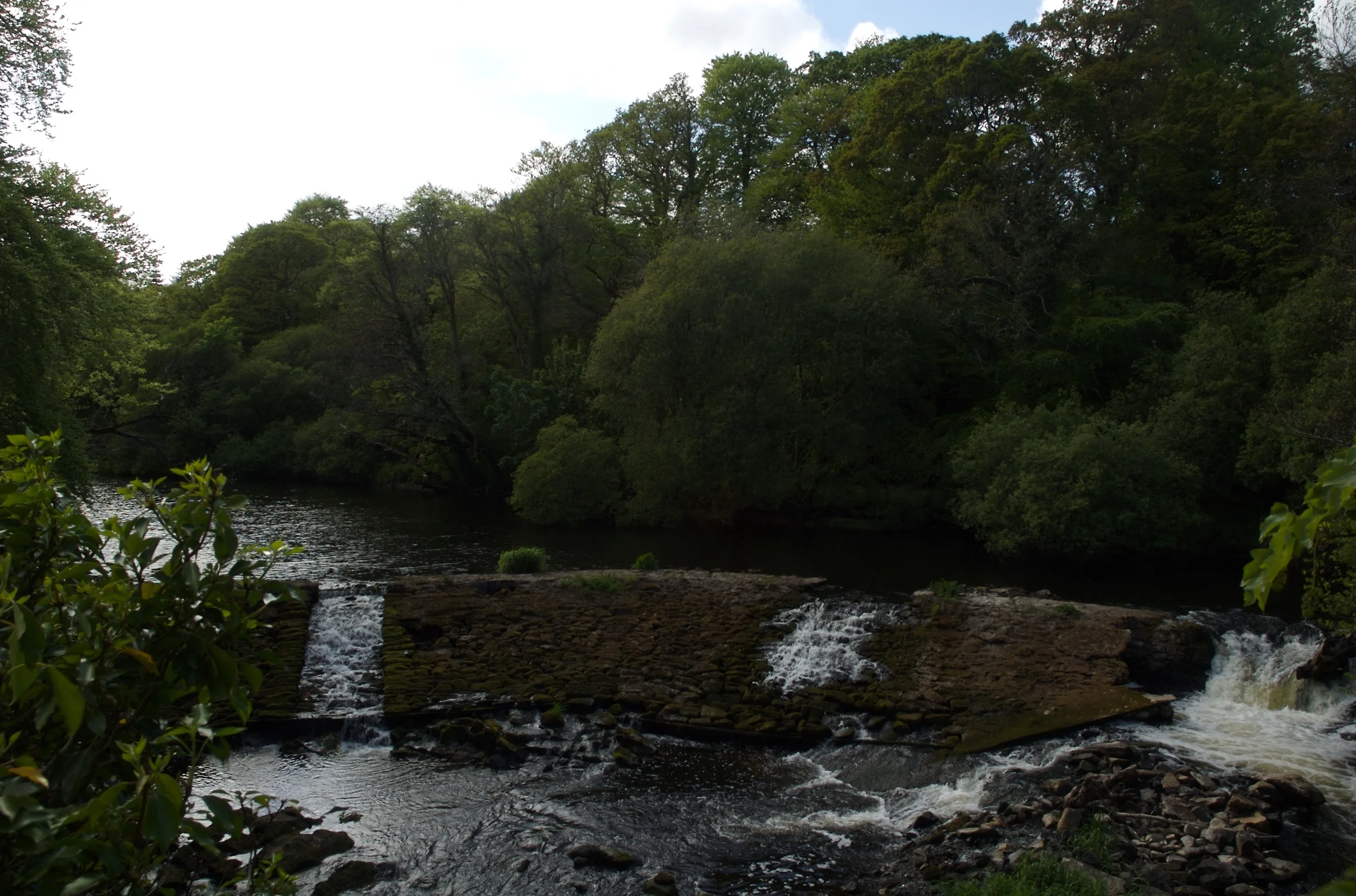DSC_1237.jpg