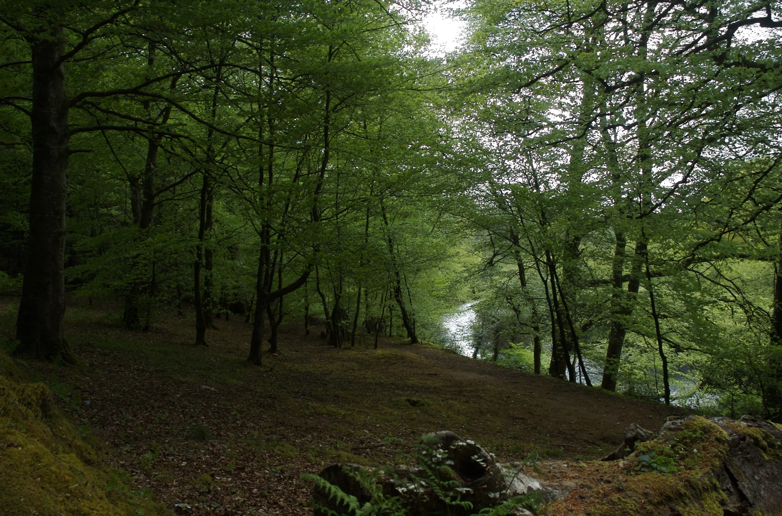 DSC_1240.jpg