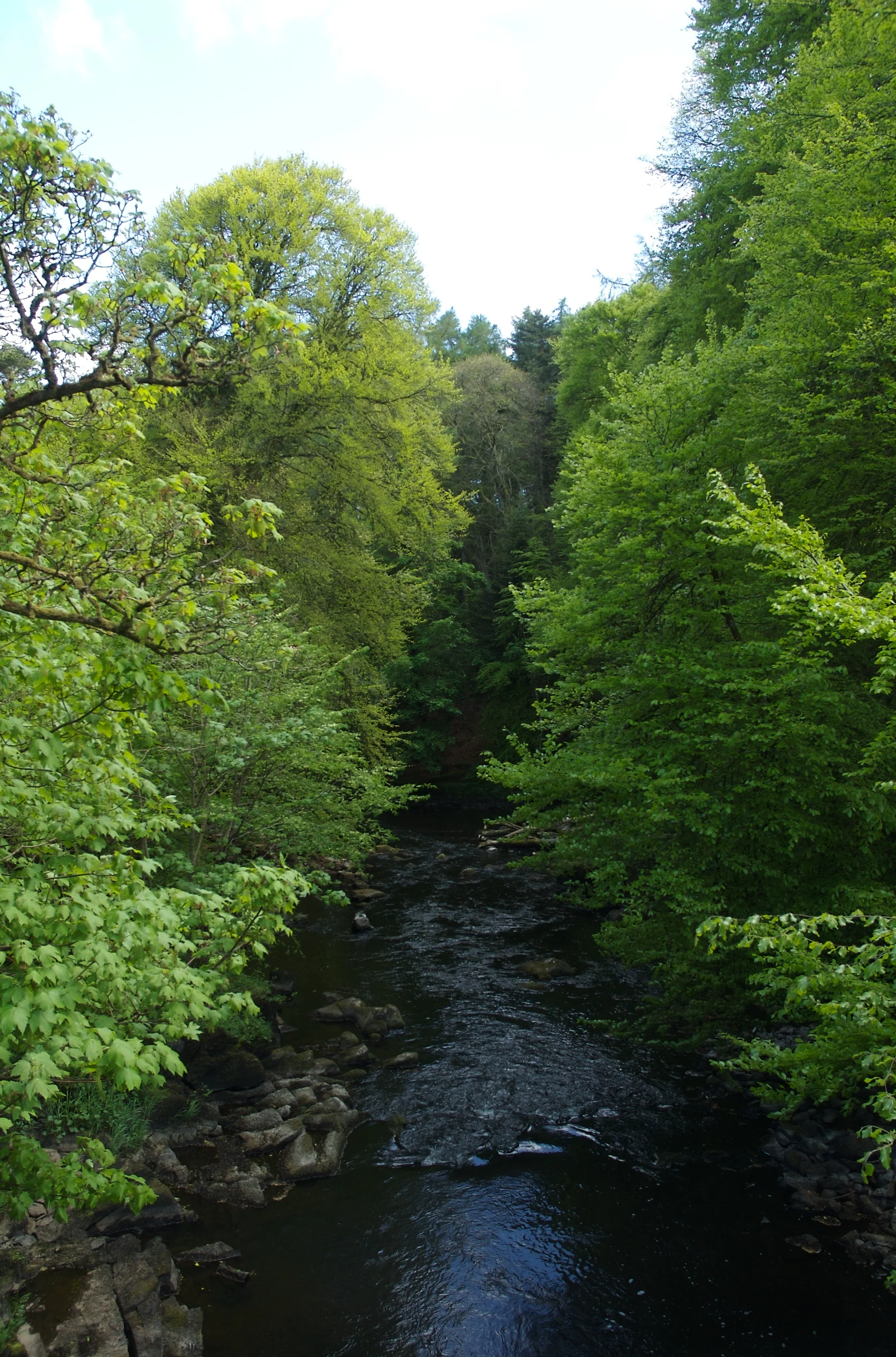 DSC_1238.jpg