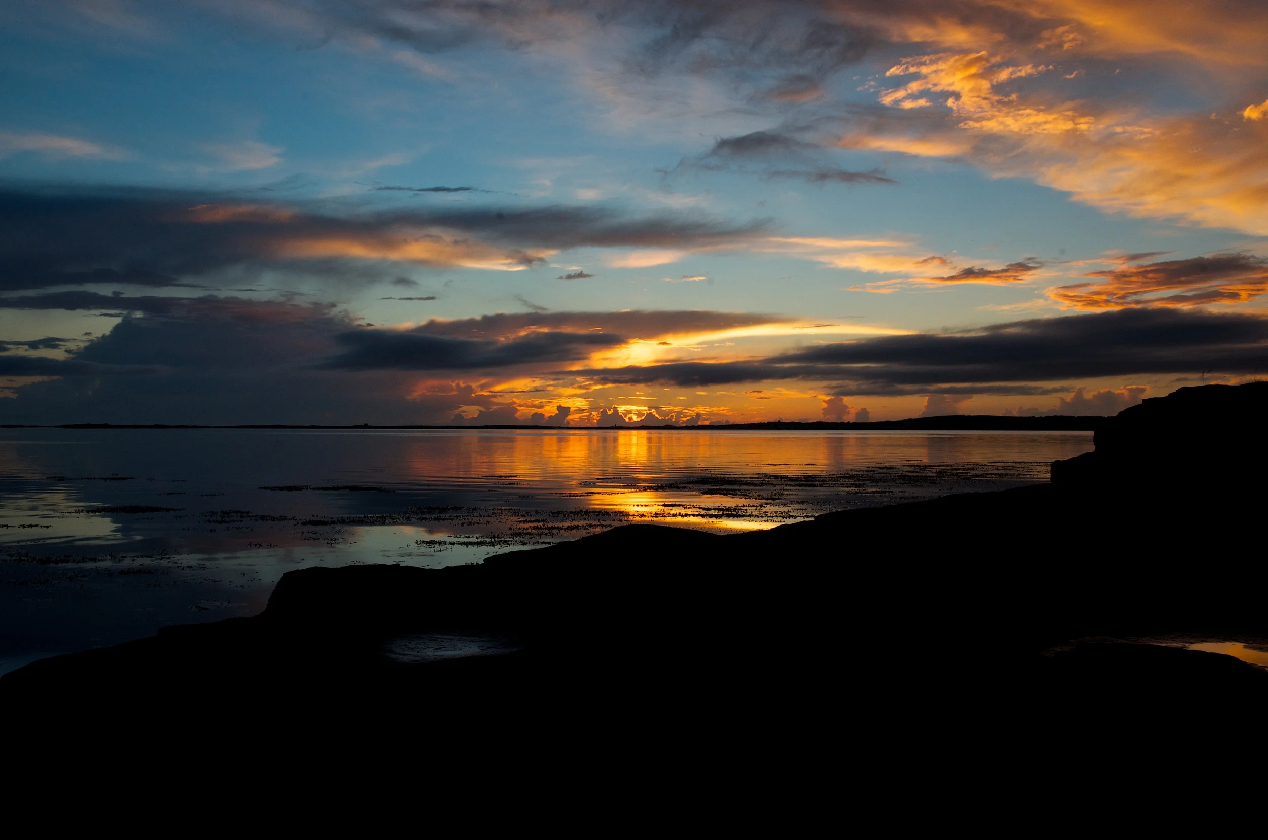 _DSC2463.jpg