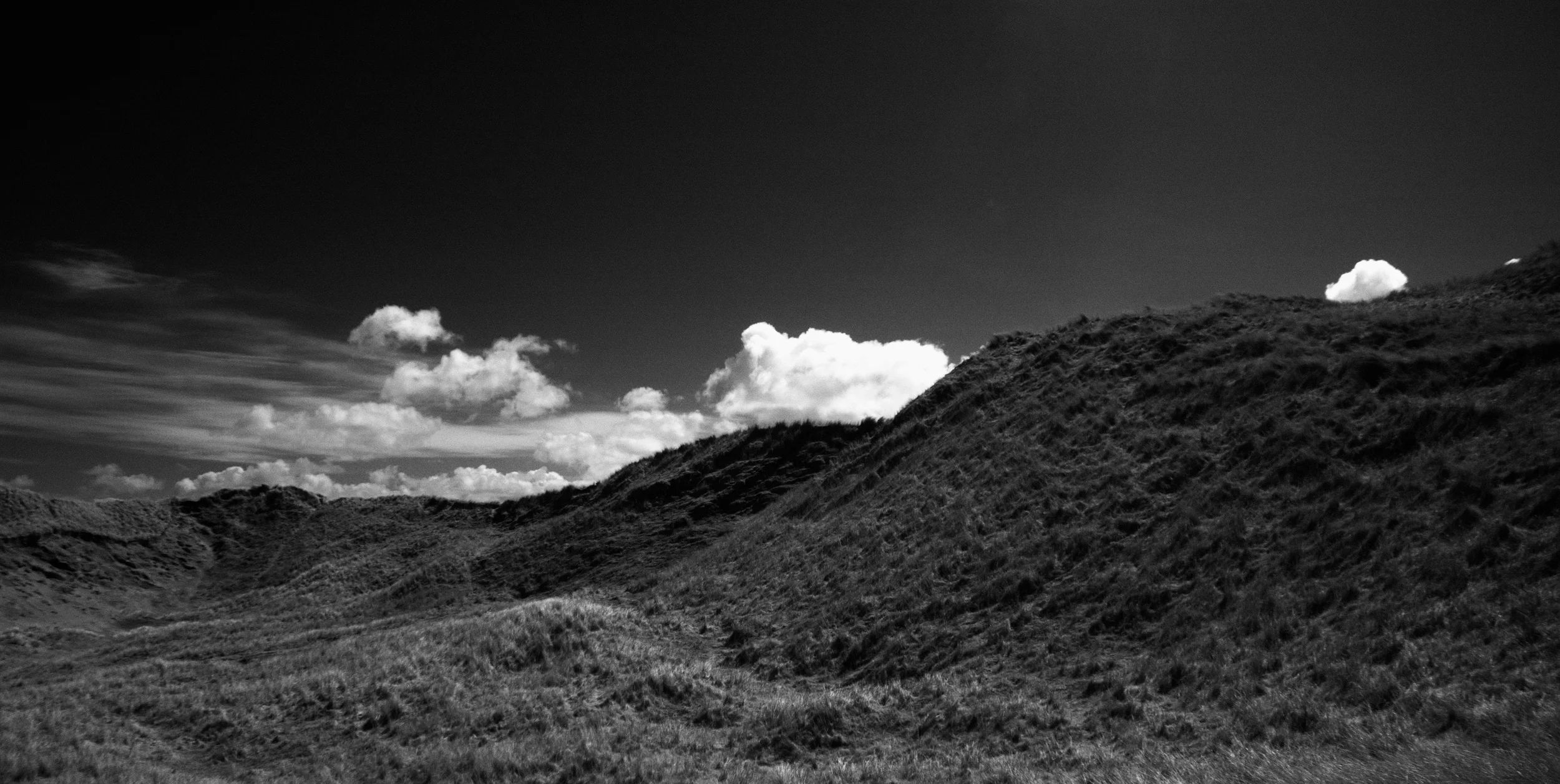 DSC_3764.jpg