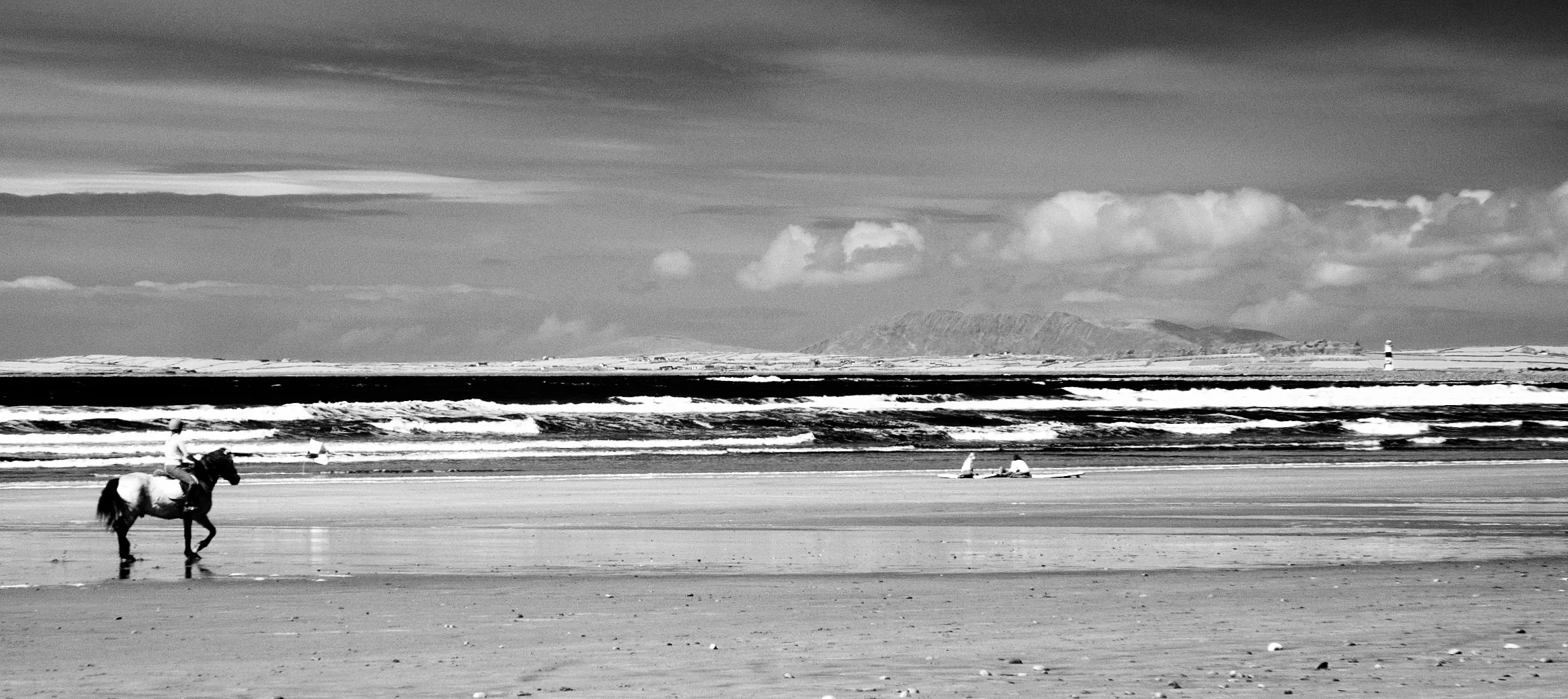 DSC_3783.jpg