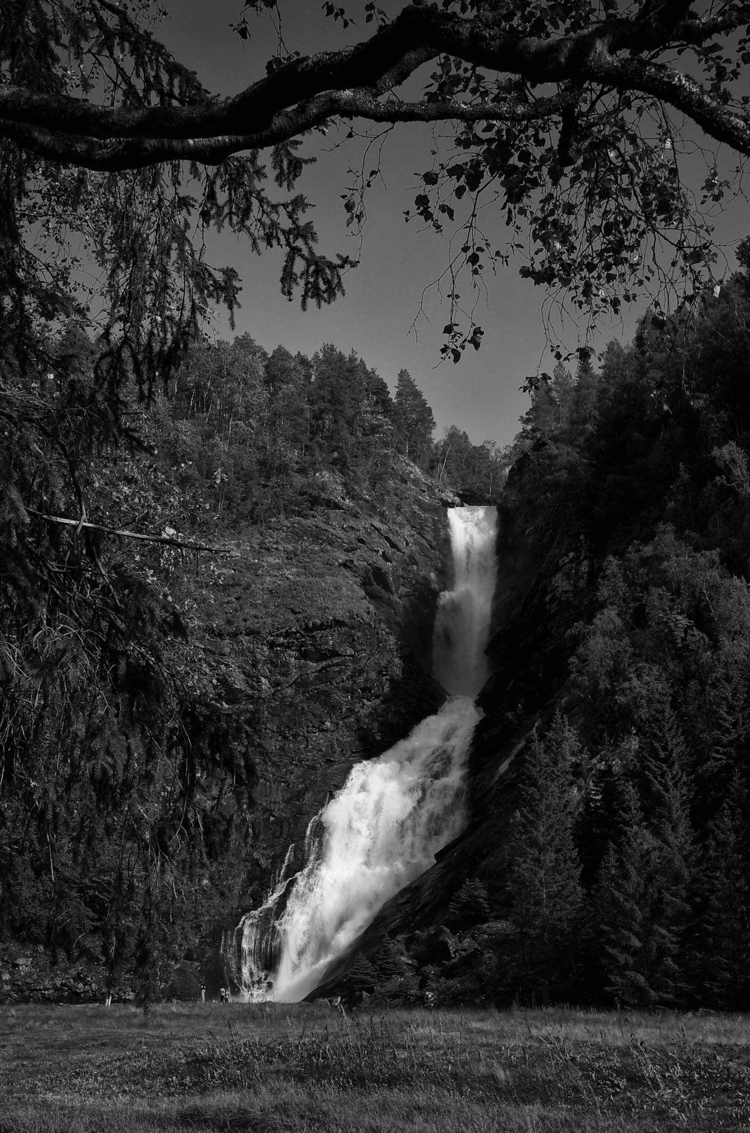 D7K_4608 - Version 2.jpg