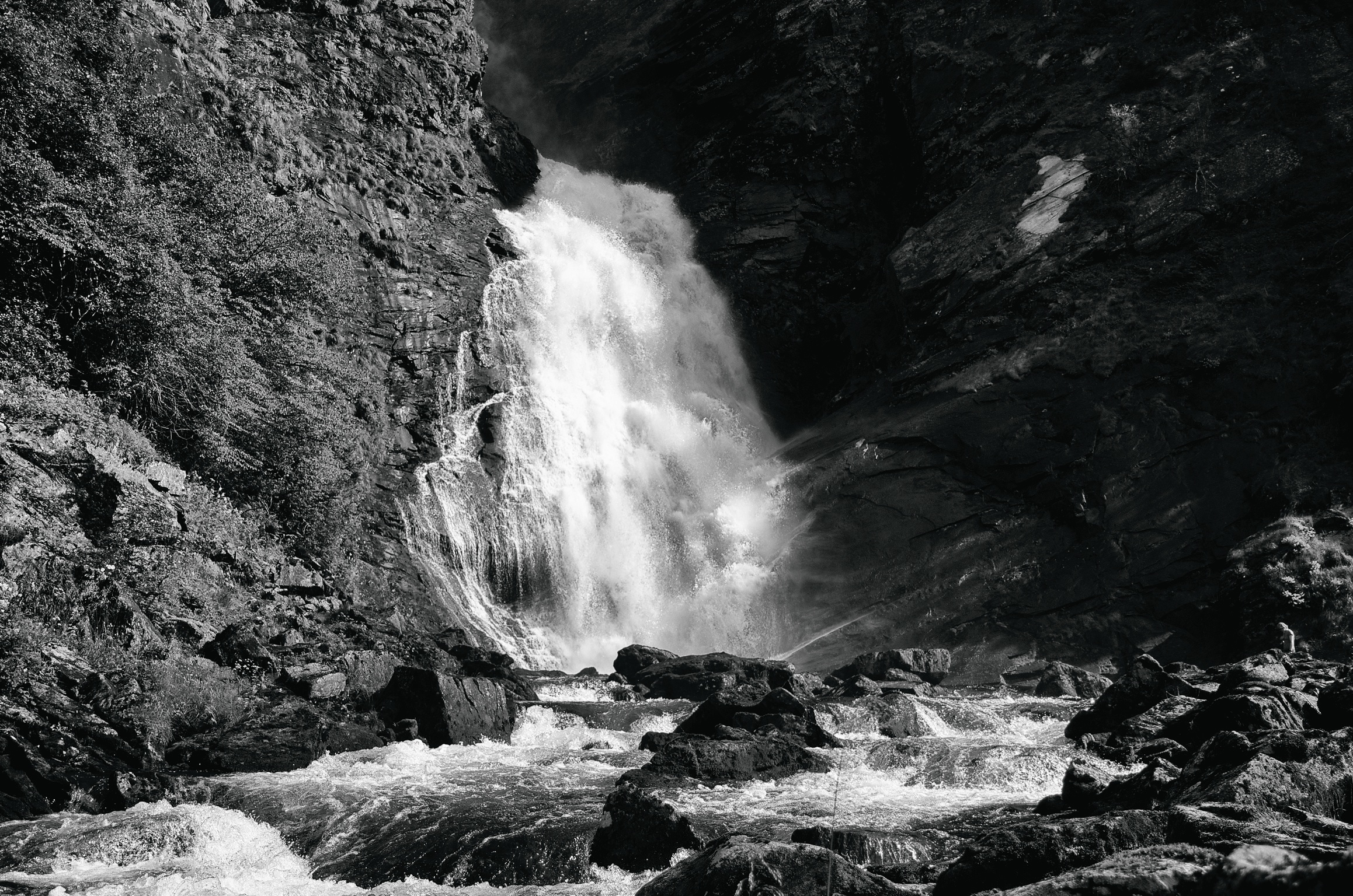 D7K_4633 - Version 2.jpg