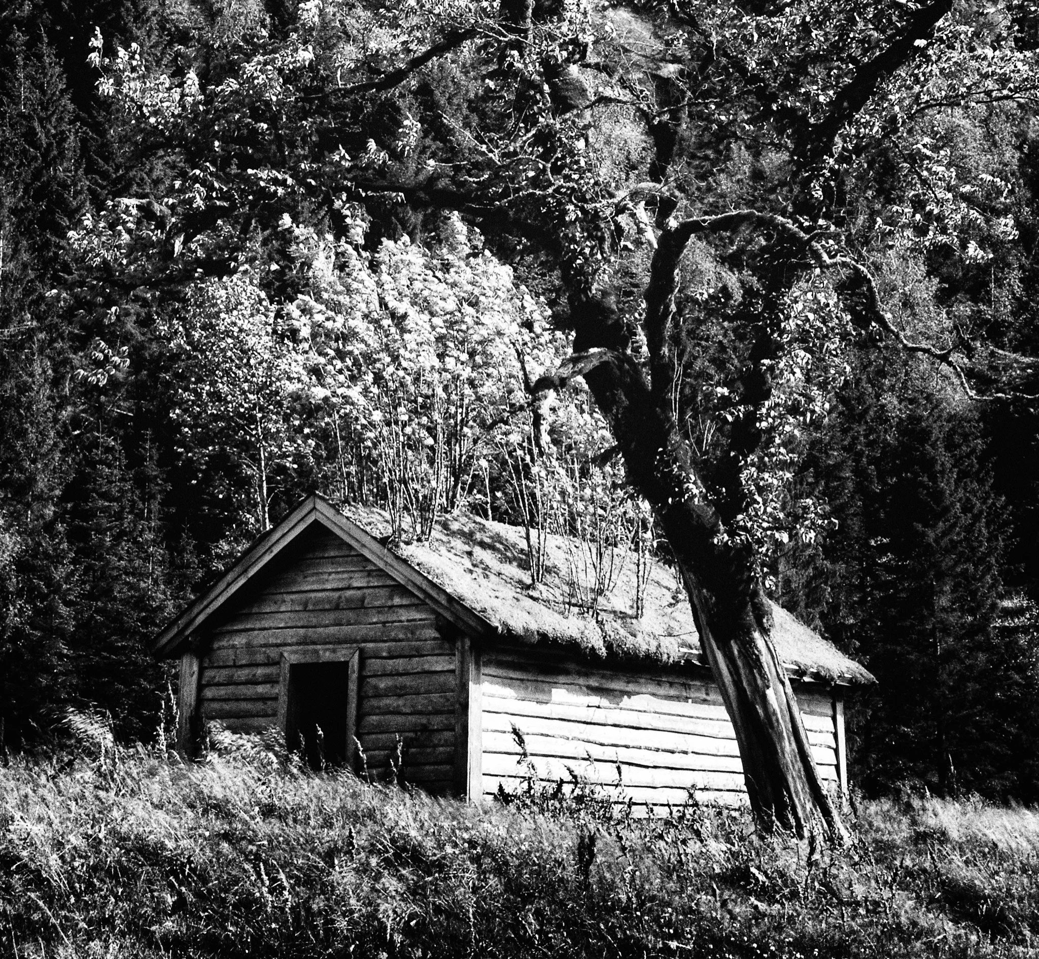 D7K_4647 - Version 2.jpg