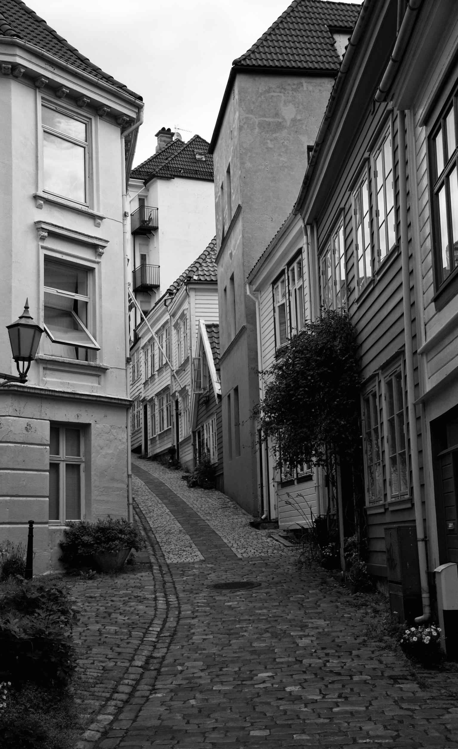 D7K_4664 - Version 2.jpg