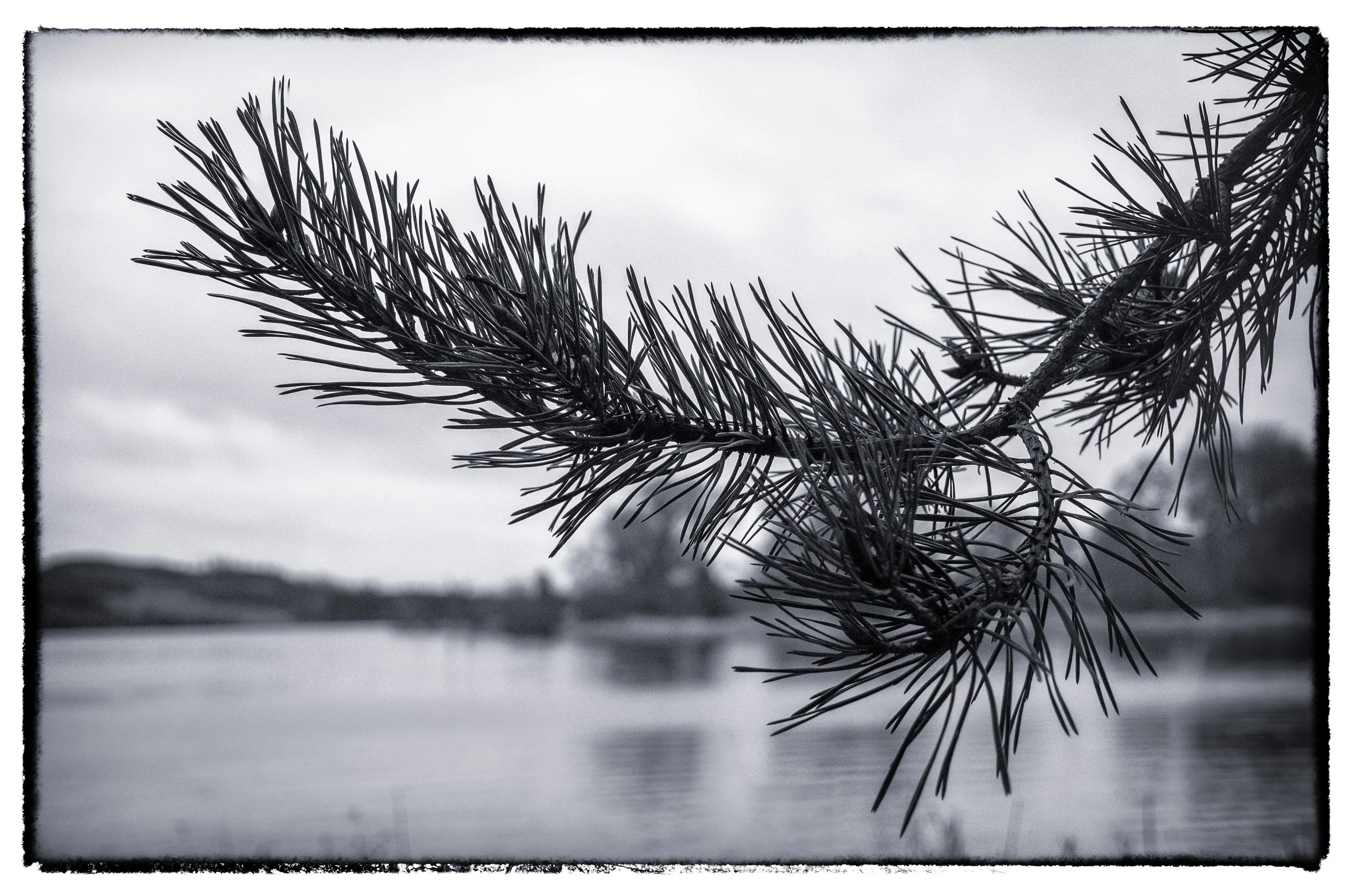 D7K_9054-HDR-Edit.jpeg