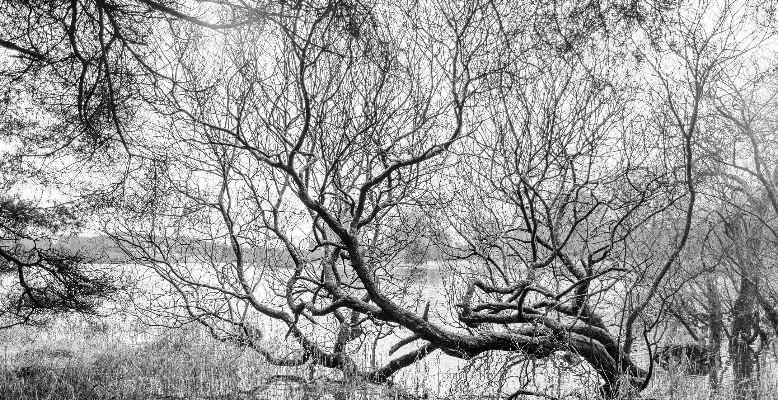 D7K_9043-HDR-Edit.jpeg