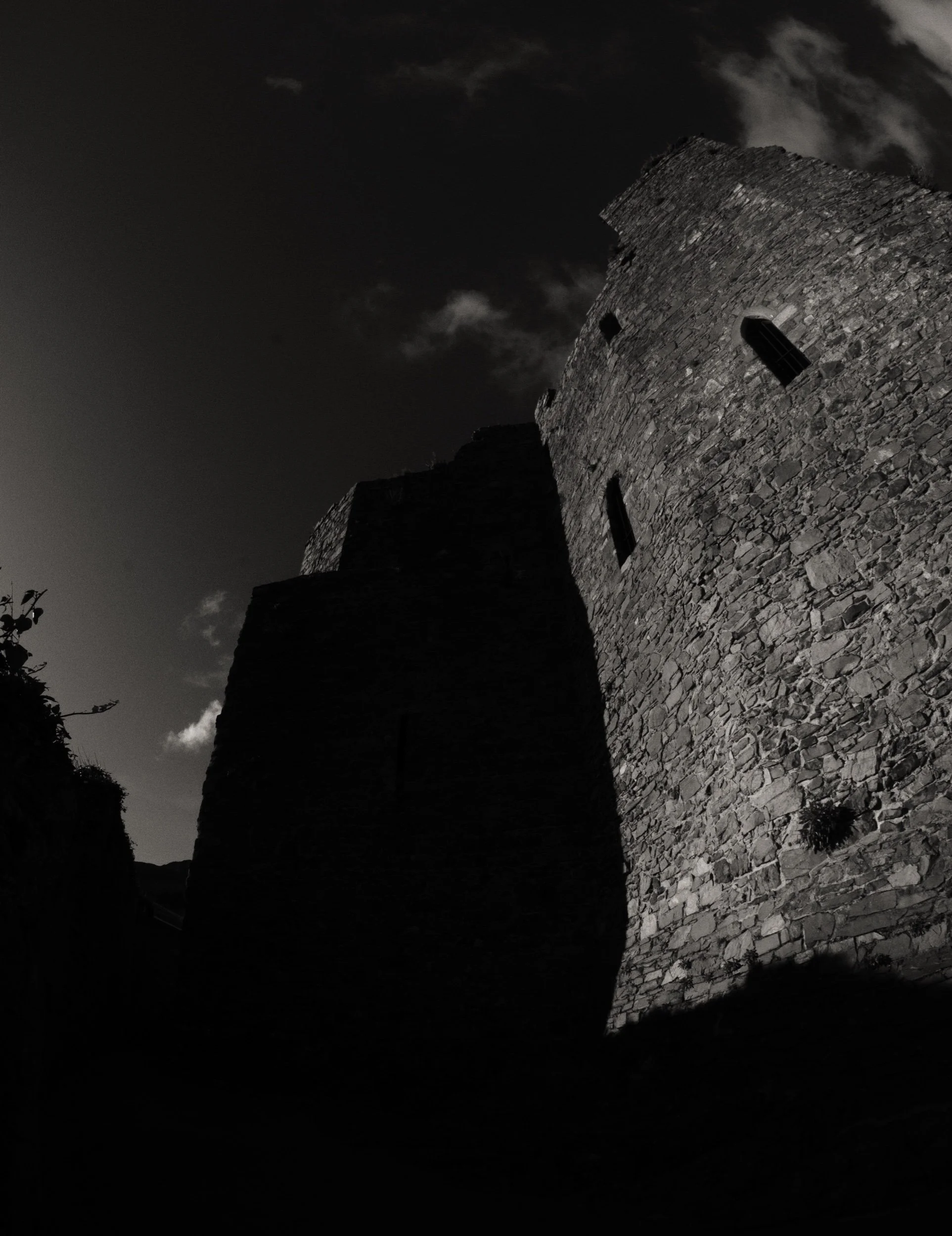 D7K_9337-Edit-Edit.jpeg