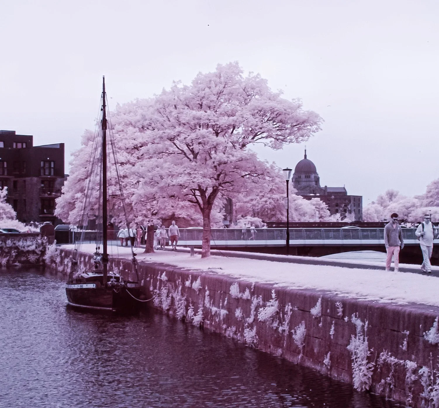 DA2683F9-5C81-43AF-9255-67B3532344C4.jpeg