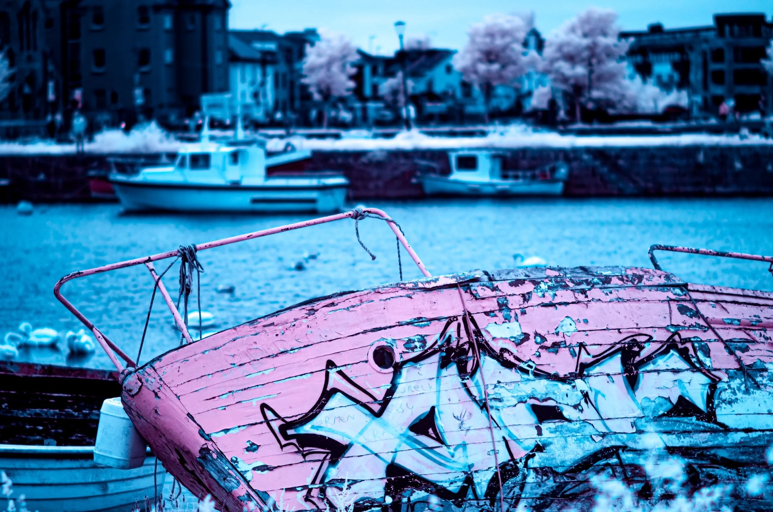_NIR9445-Edit-2.jpeg