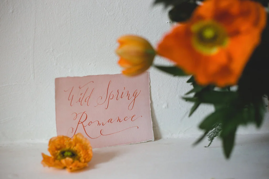 Frances-Beatty-Spring-Romance-593.jpg