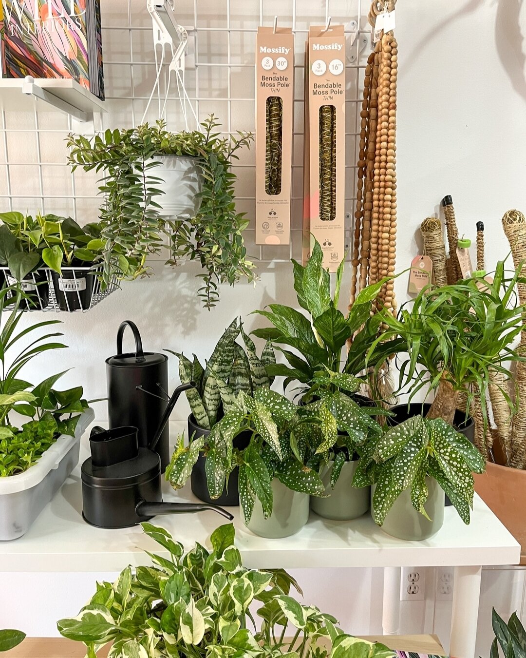 Hope everyone is having a lovely Easter weekend! 

We are open Easter Sunday from 11-3pm so come out for a browse! We've got some cute new plants, flowers and lots of other fun gifts in case you feel like spoiling your Easter hosts (or yourselves!).