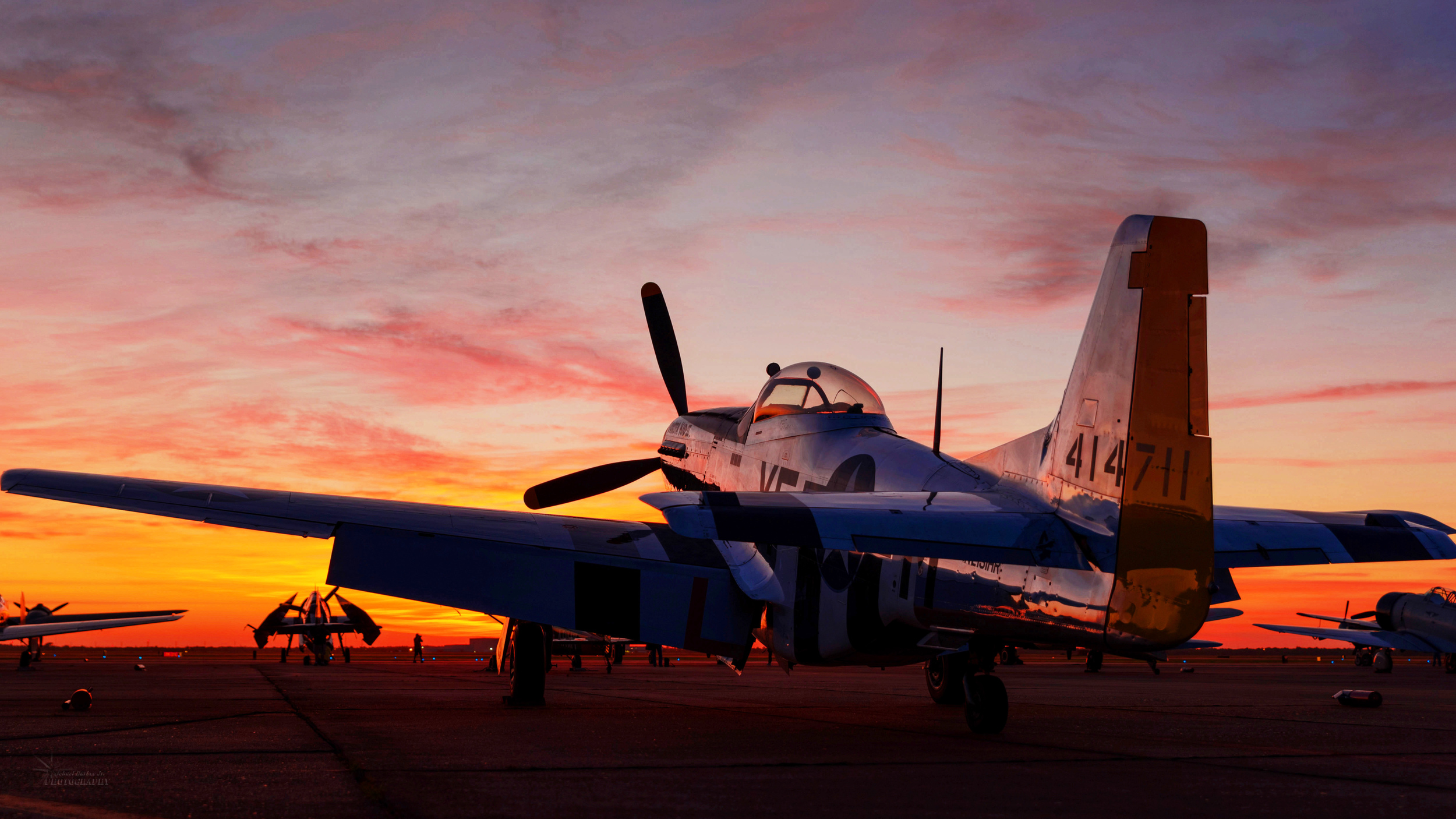 Mustang at dawn