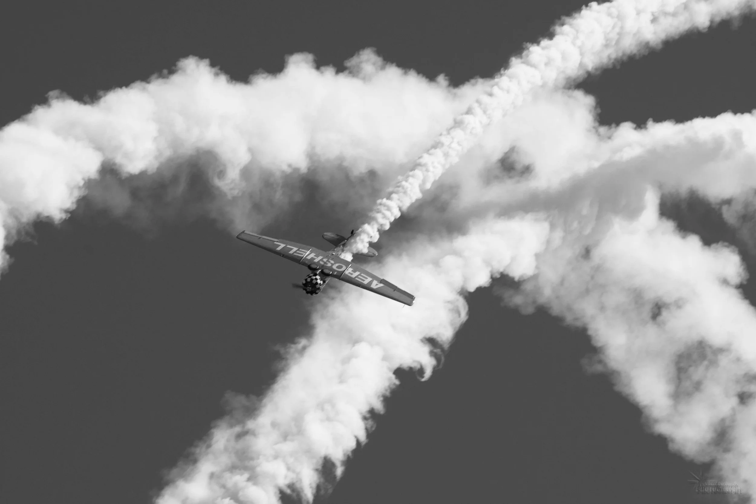 3MB_2347.1.jpg