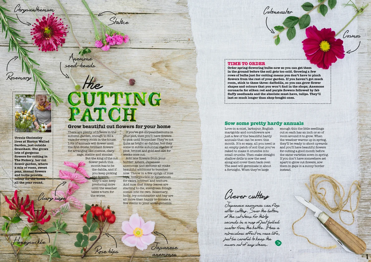 Crafty Gardener magazine // Bauer Media
