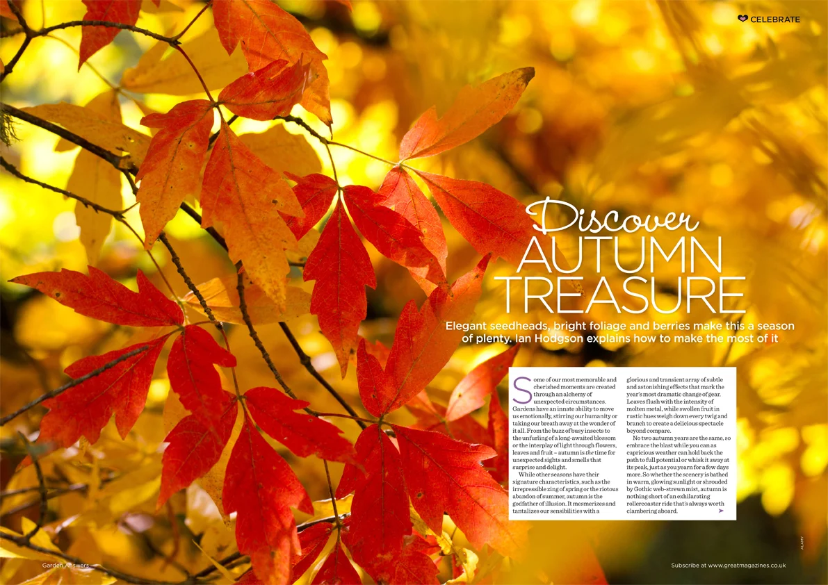 Garden Answers magazine // Bauer Media