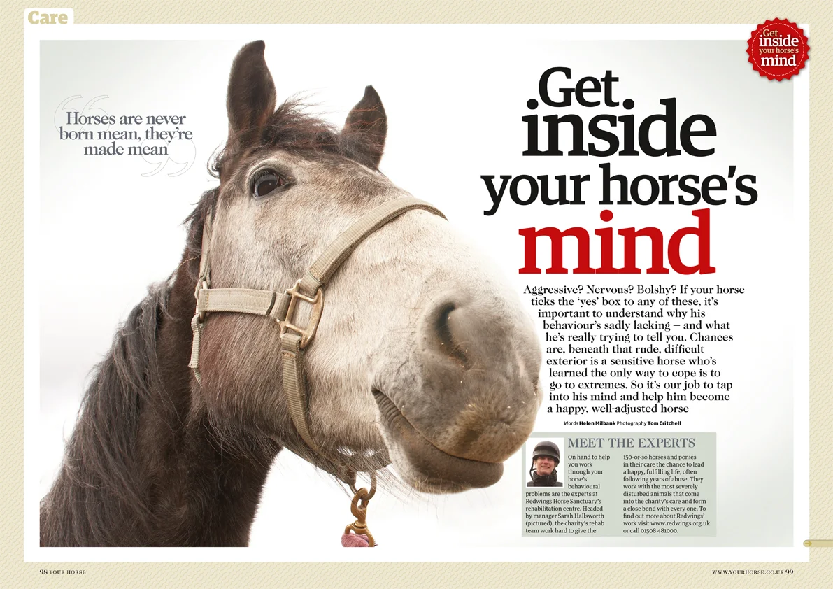 Your Horse magazine // Bauer Media