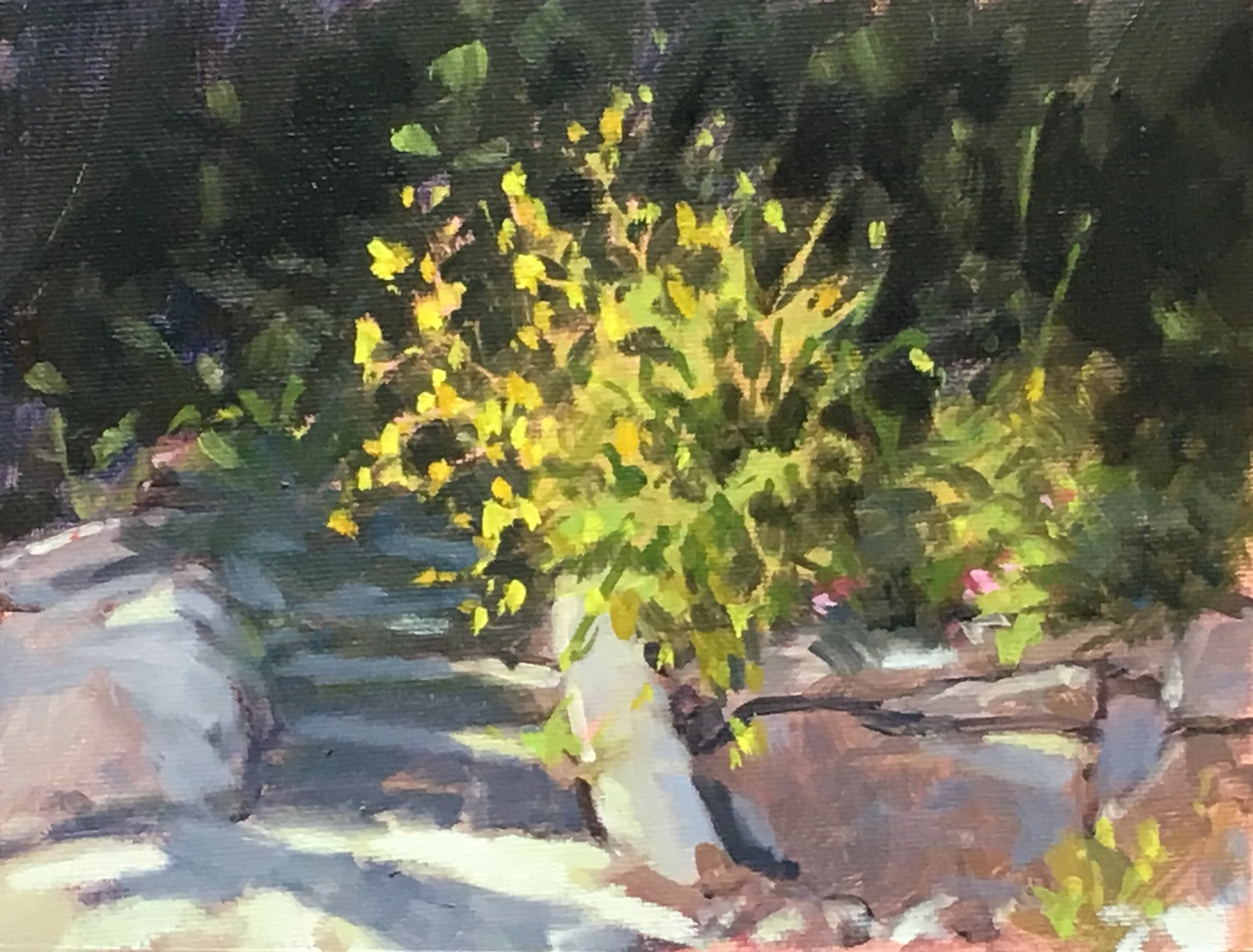 Up From the Beach 6x8 $480