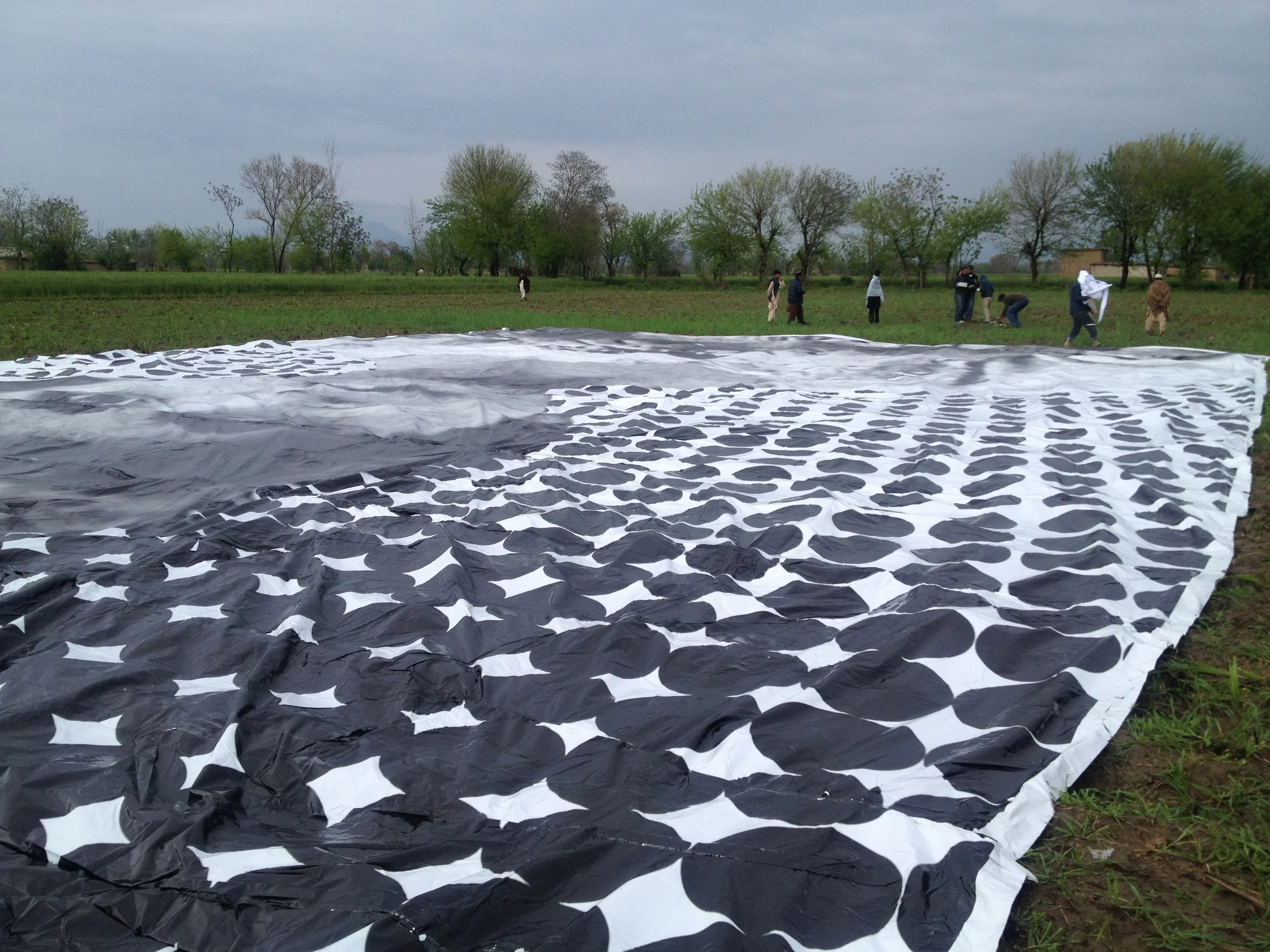 Ground view of the gigantic poster of the child victim.