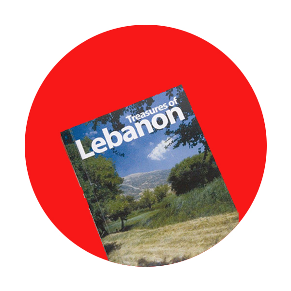 Trillion for Lebanon Foundation