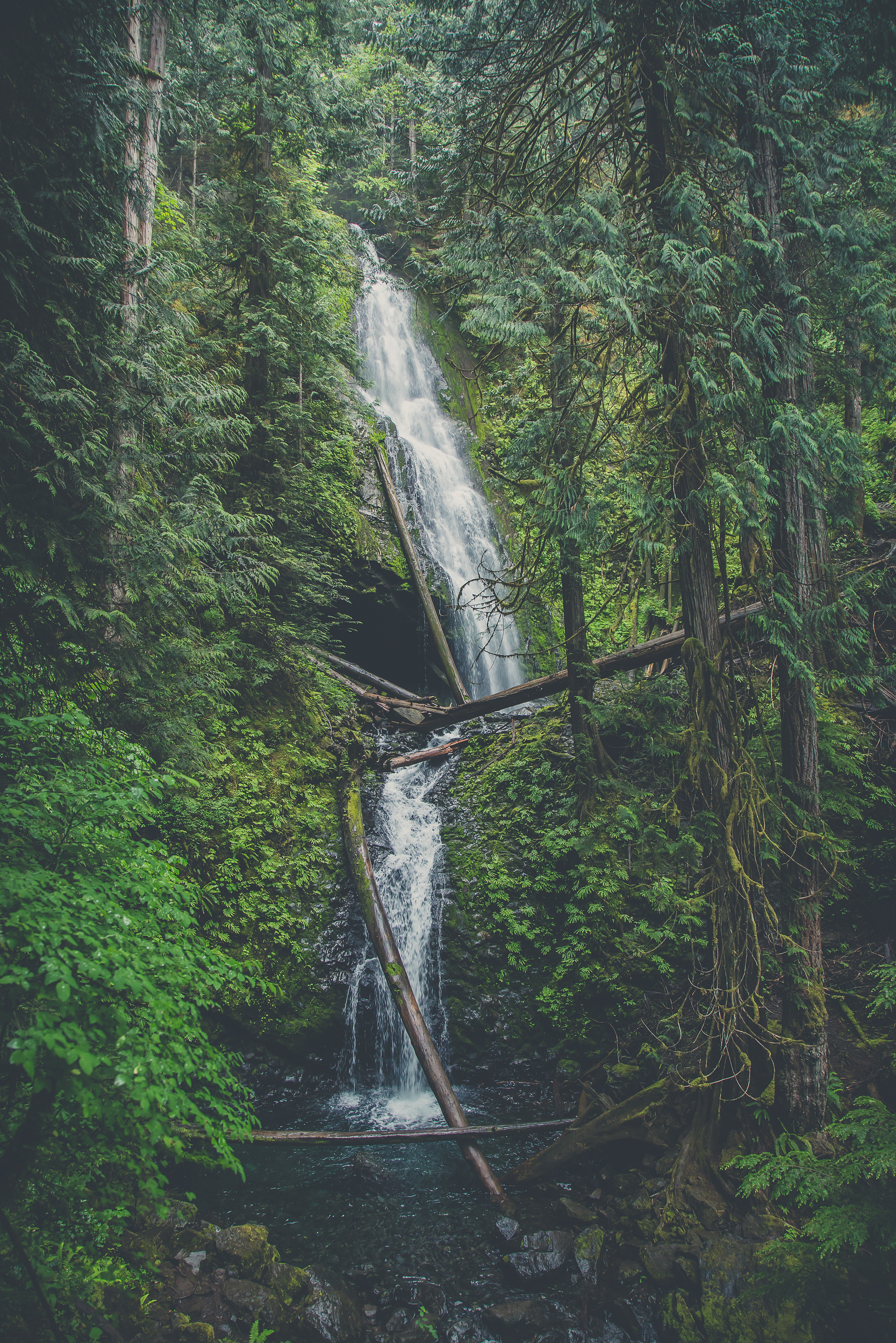 pacific-NW-forest-waterfall.jpg