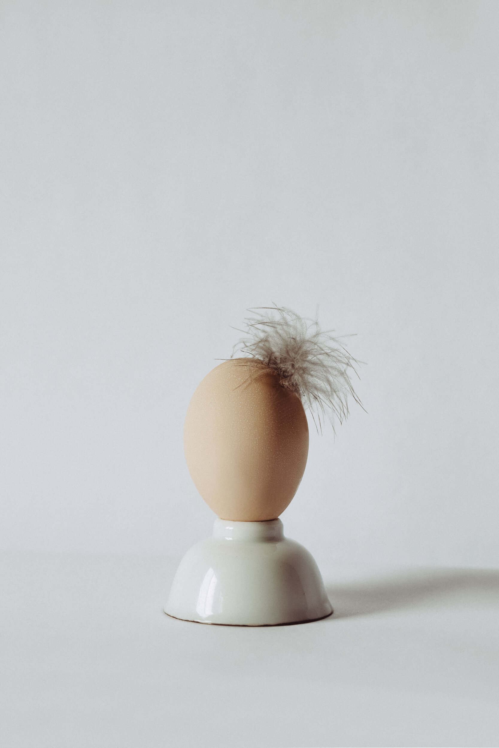 Portrait-of-a-Fancy-Egg.jpg