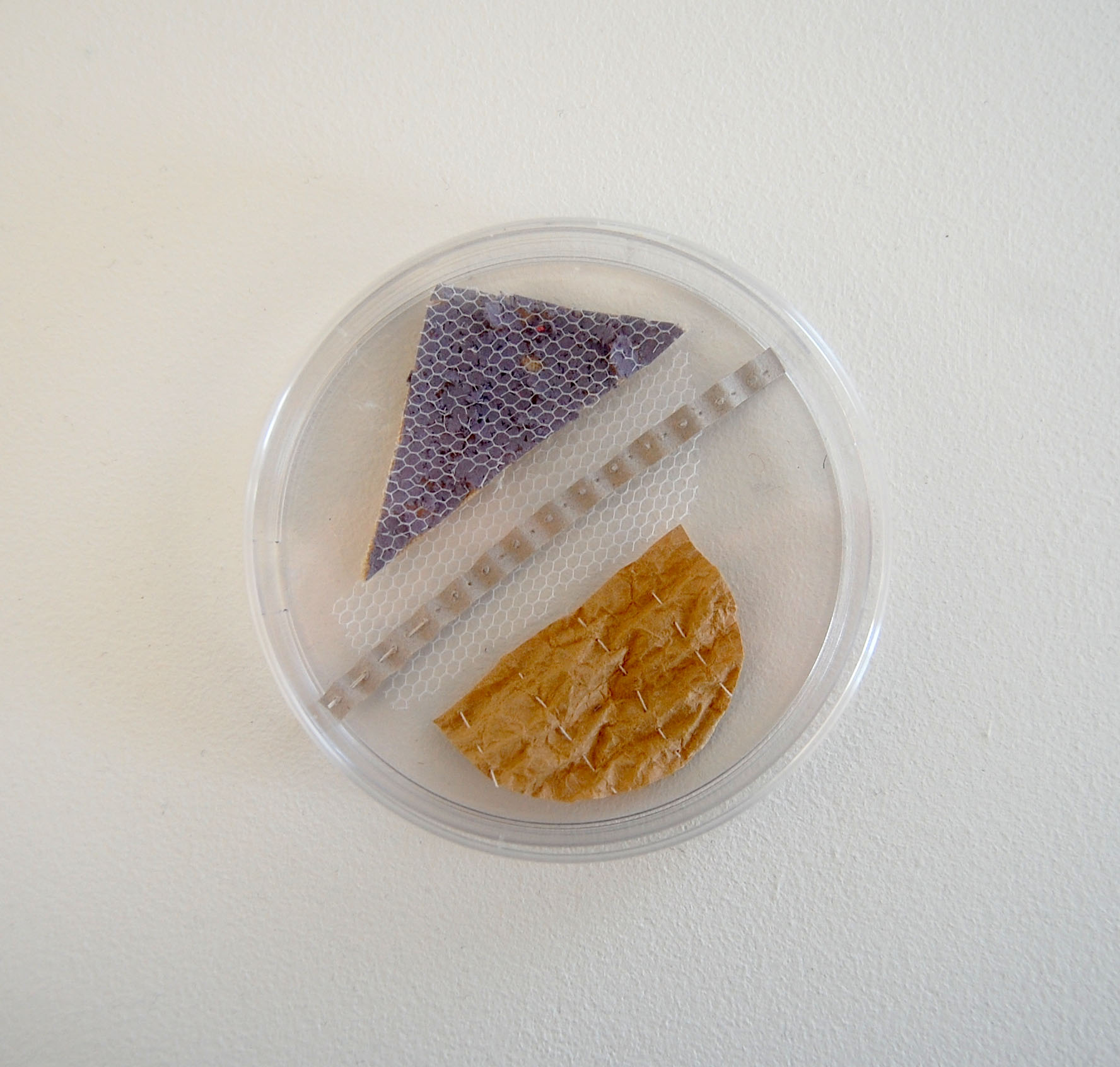  mixed media textile composition  petri-dish 