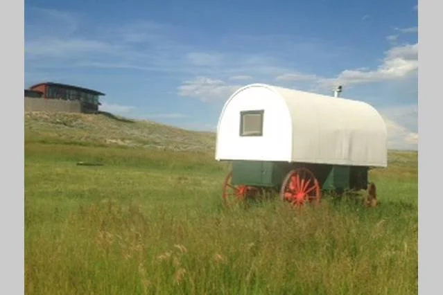 sheepwagon02.jpg