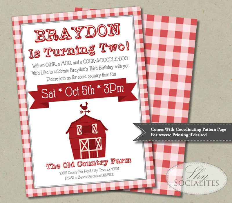 Farm_gingham web2.jpg