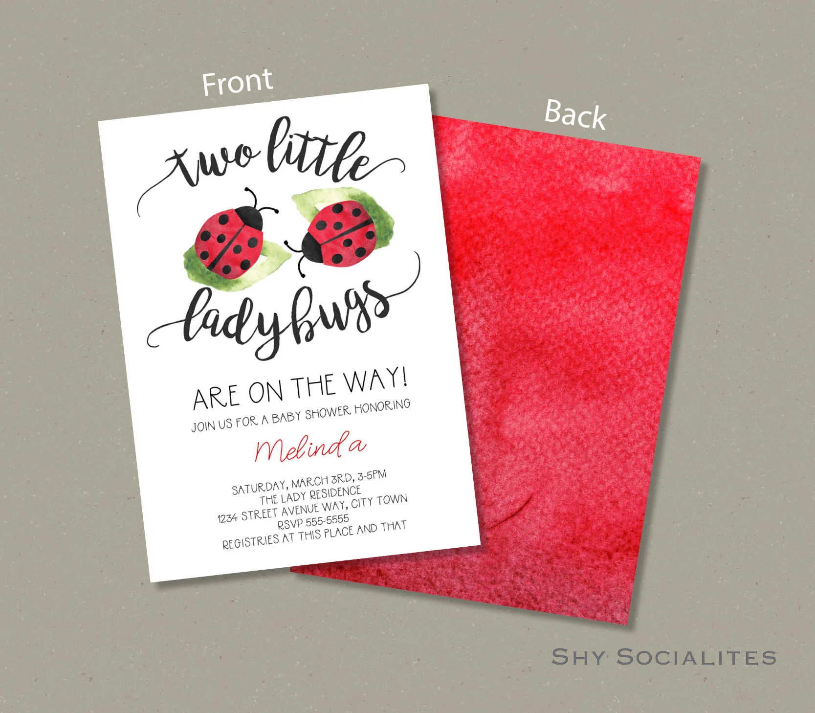 Two little Ladybugs B WEB2.jpg