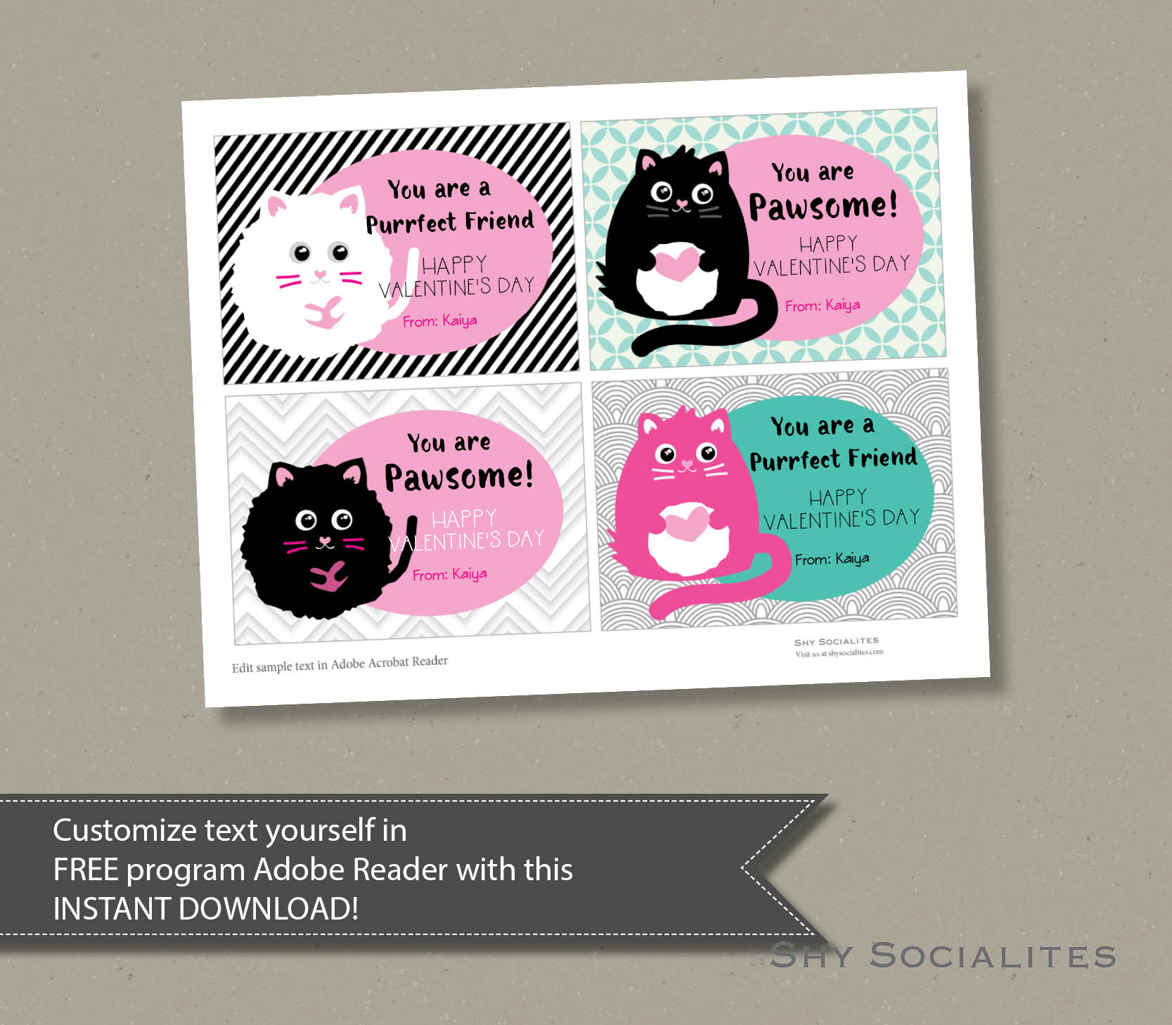 Kitty WEB2.jpg