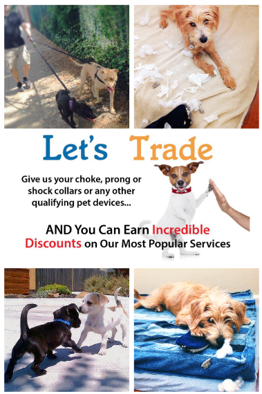 JPT Packages Page.png