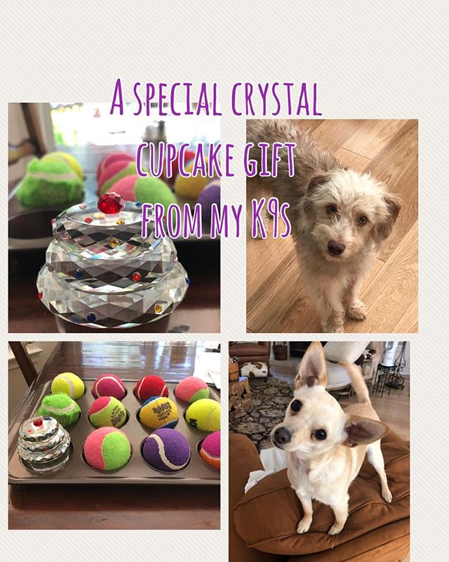 My cupcake game triggered a crystal cupcake from my clients &lsquo;Fang &amp; Pard&rsquo; warm wags of thanks for the unique &amp; thoughtful gift ❣️🐾 #justpawstraining #puppytraining #cupcakegame