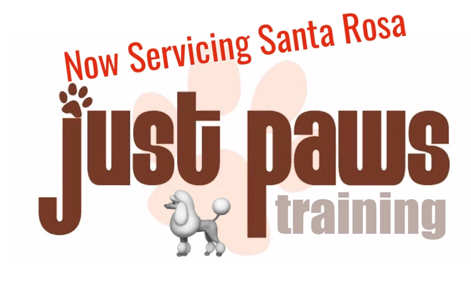 Just Paws Training