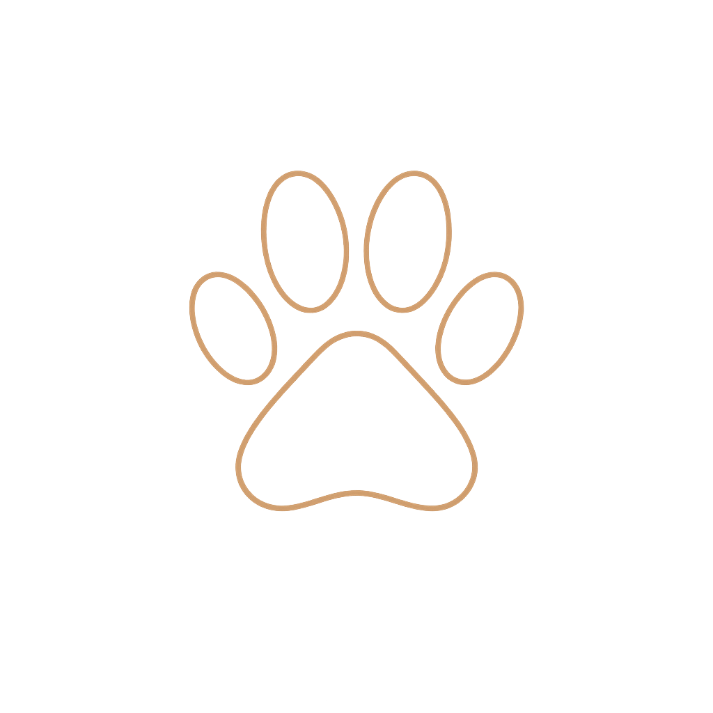 ChatGPT Image Nov 25, 2025, 10_35_31 AM.png