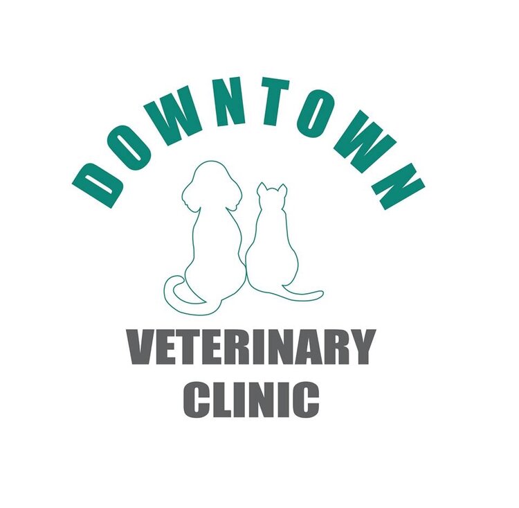 Downtown Veterinary Clinic