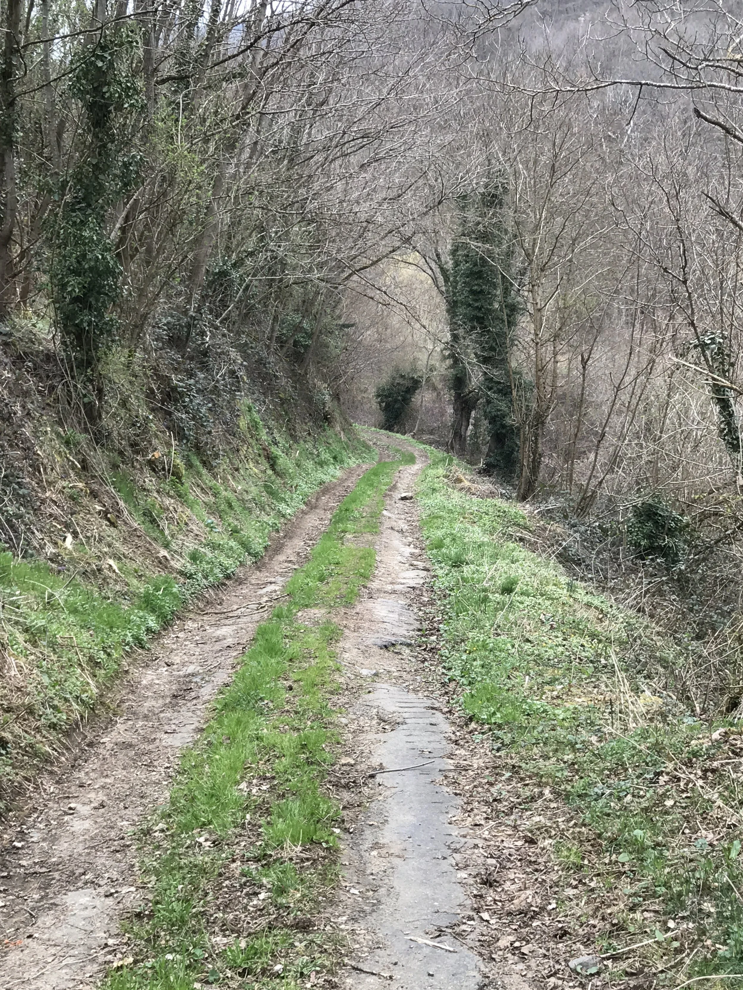 you have no idea what is down this path, but you know that you want to know...