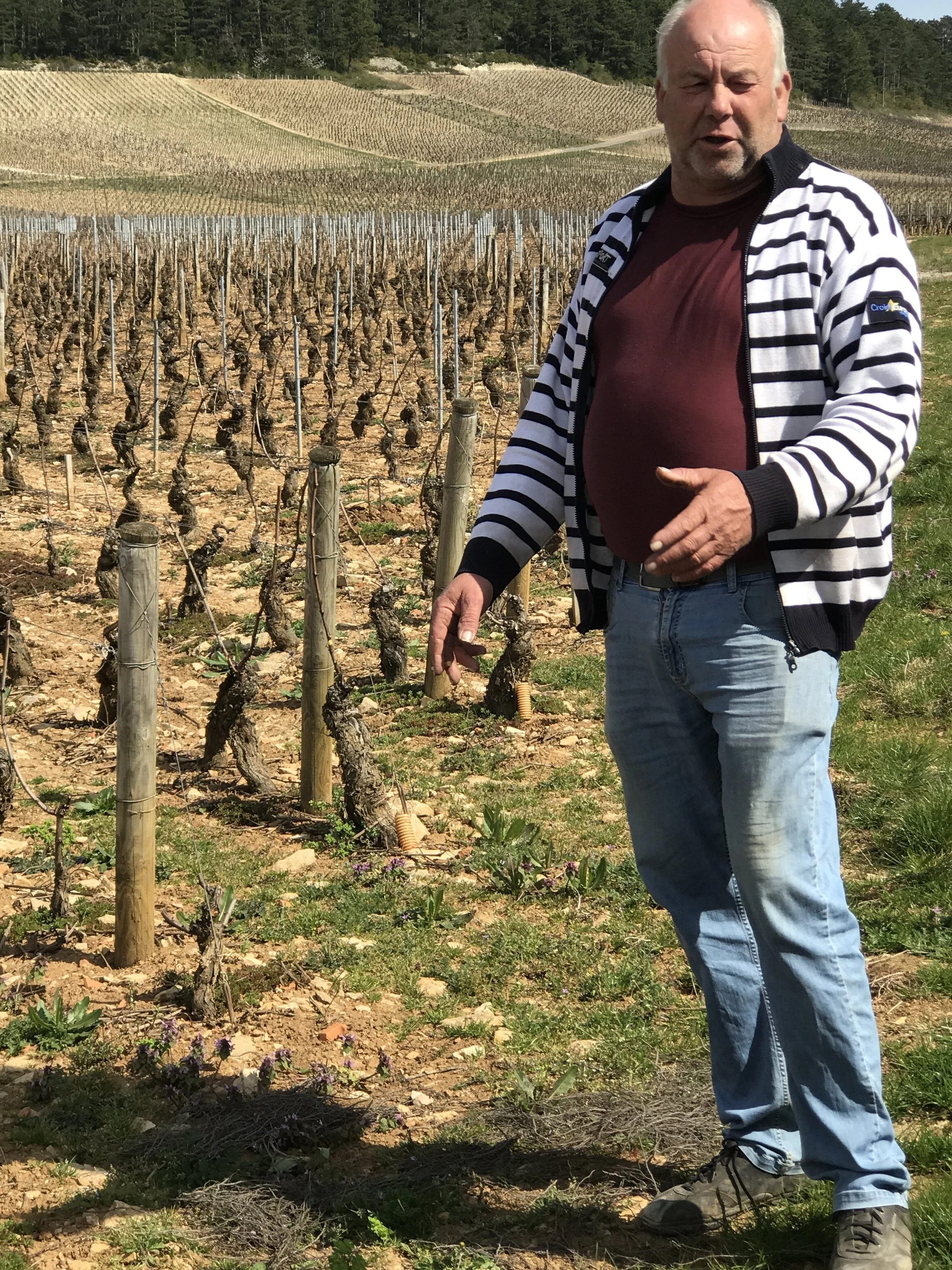 Paul Garaudet at Monthelie talks about the challenges of organic farming, he practices lutte raissonneé and understands the importance of responsible wine making, but will argue the politics of it! Like anything else there are always many different perspectives.